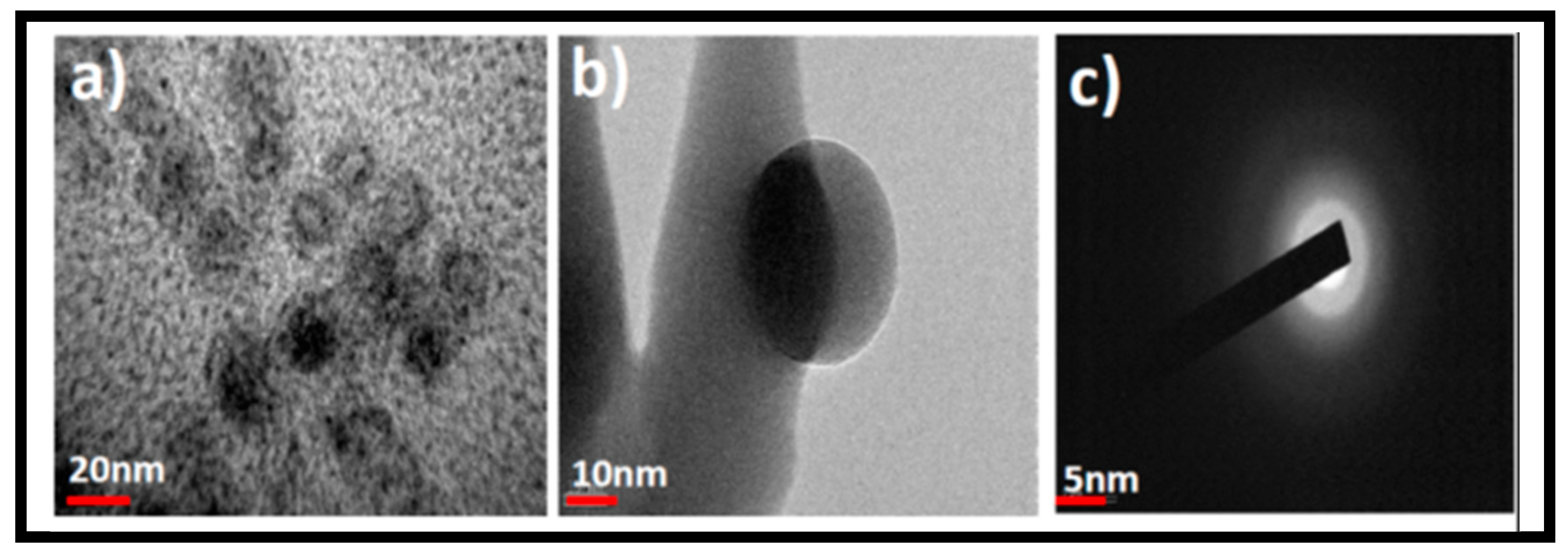 Pharmaceutics 15 00632 g002a