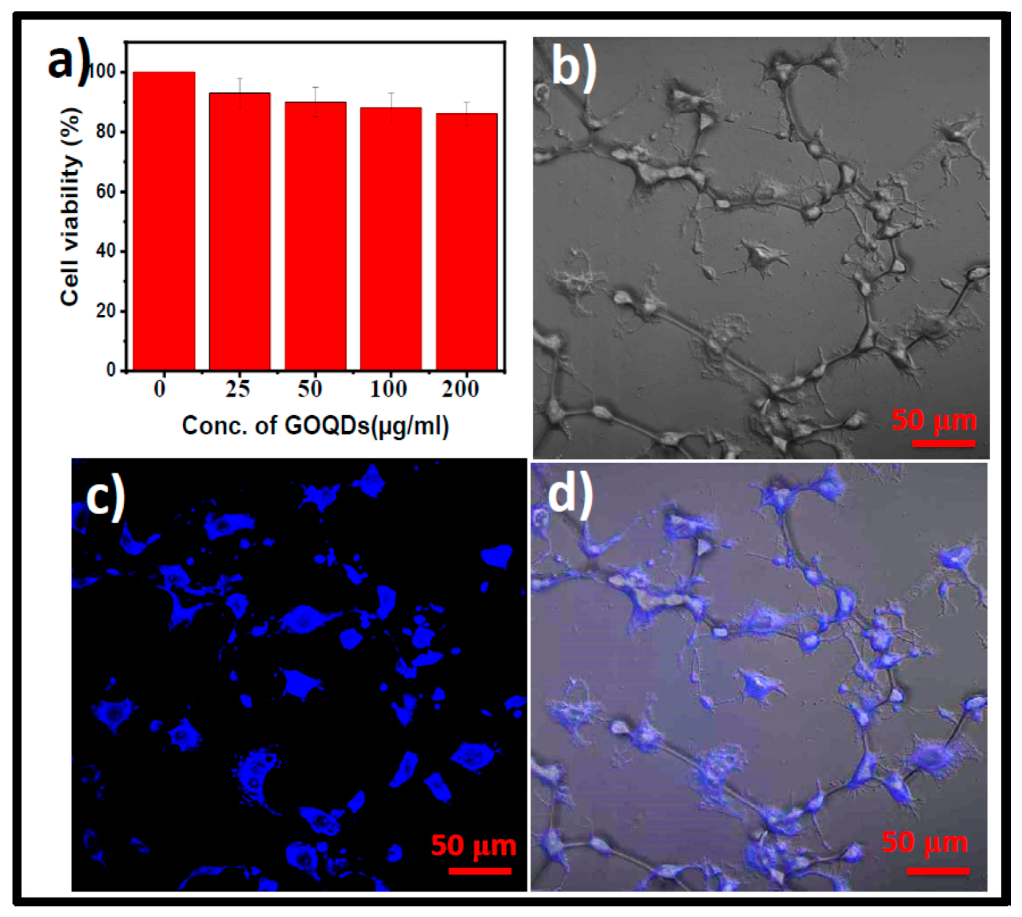 Pharmaceutics 15 00632 g005