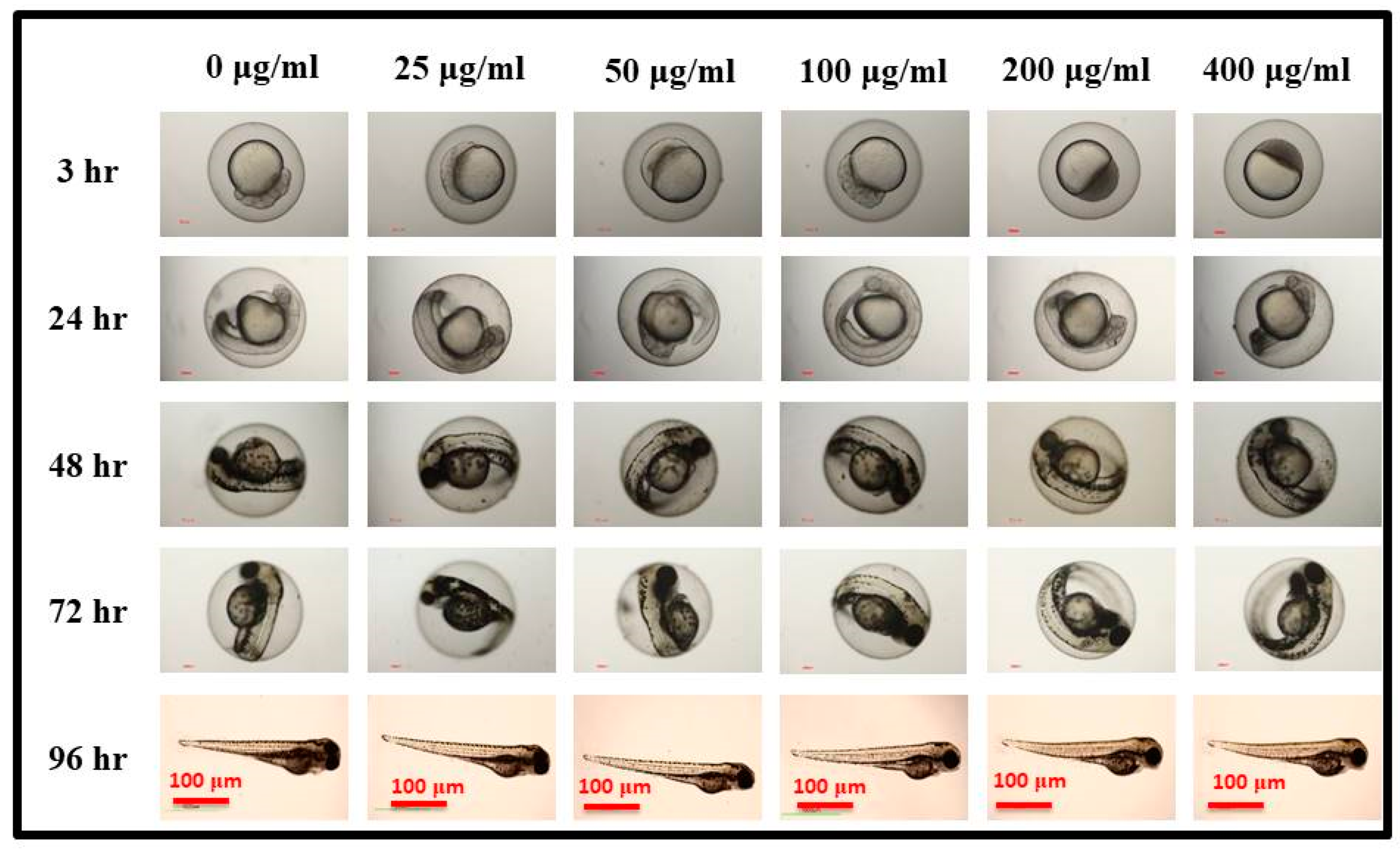 Pharmaceutics 15 00632 g006