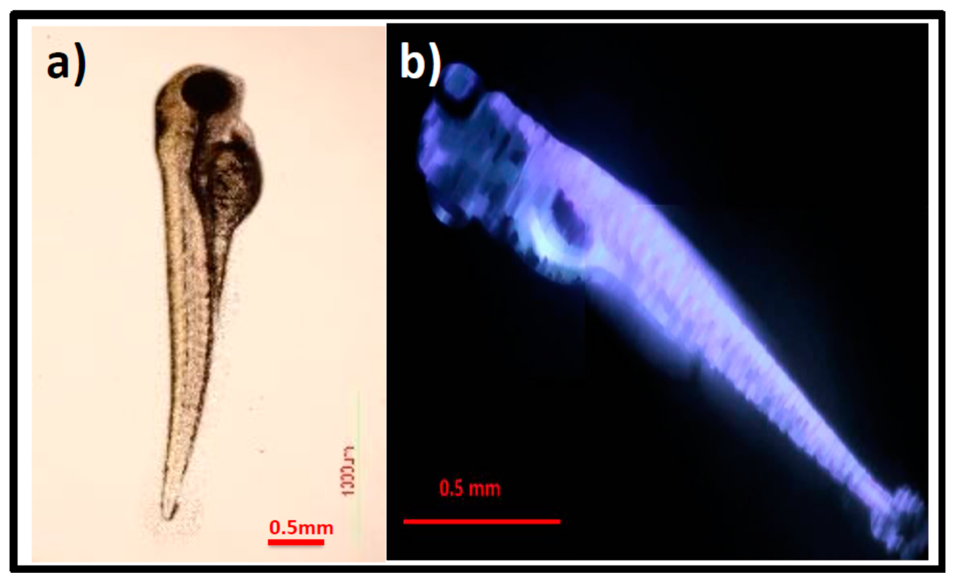 Pharmaceutics 15 00632 g007