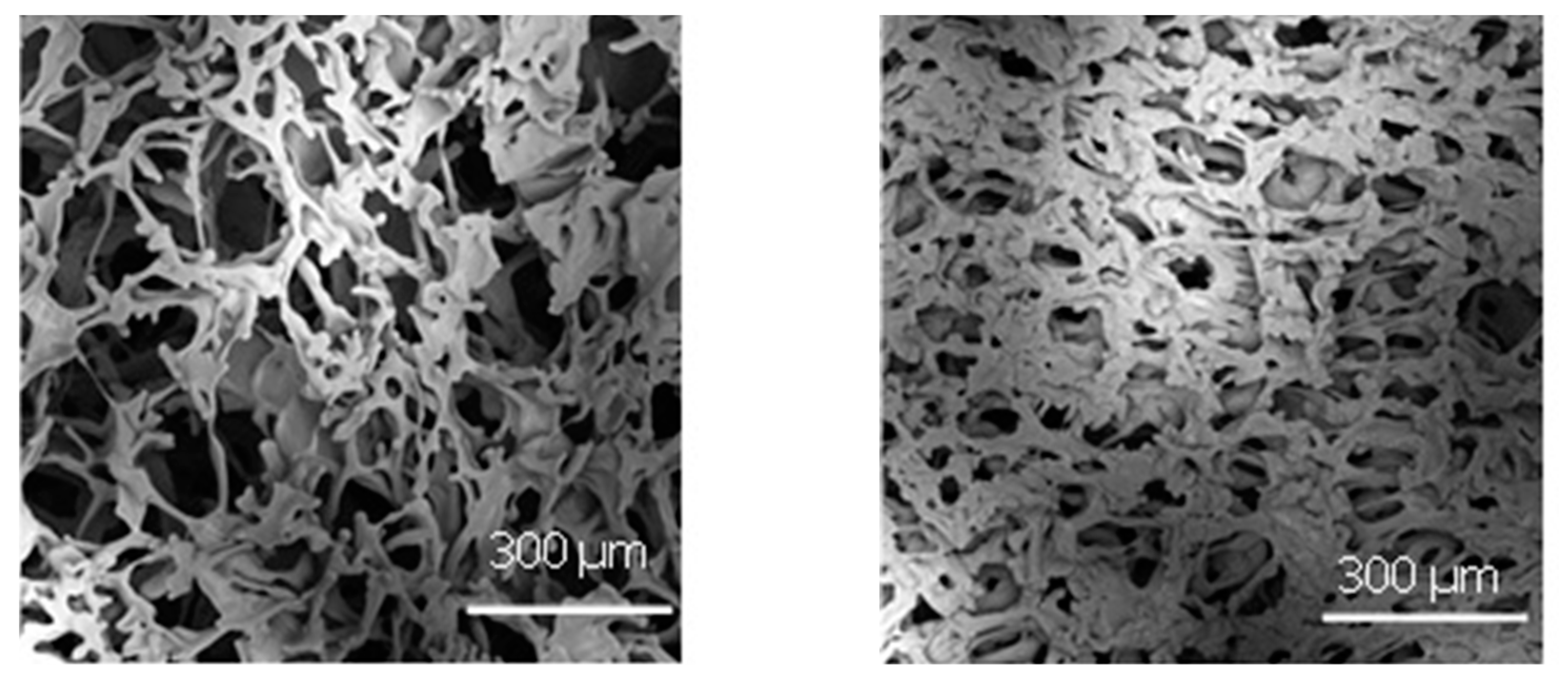 Pharmaceutics 15 00635 g008