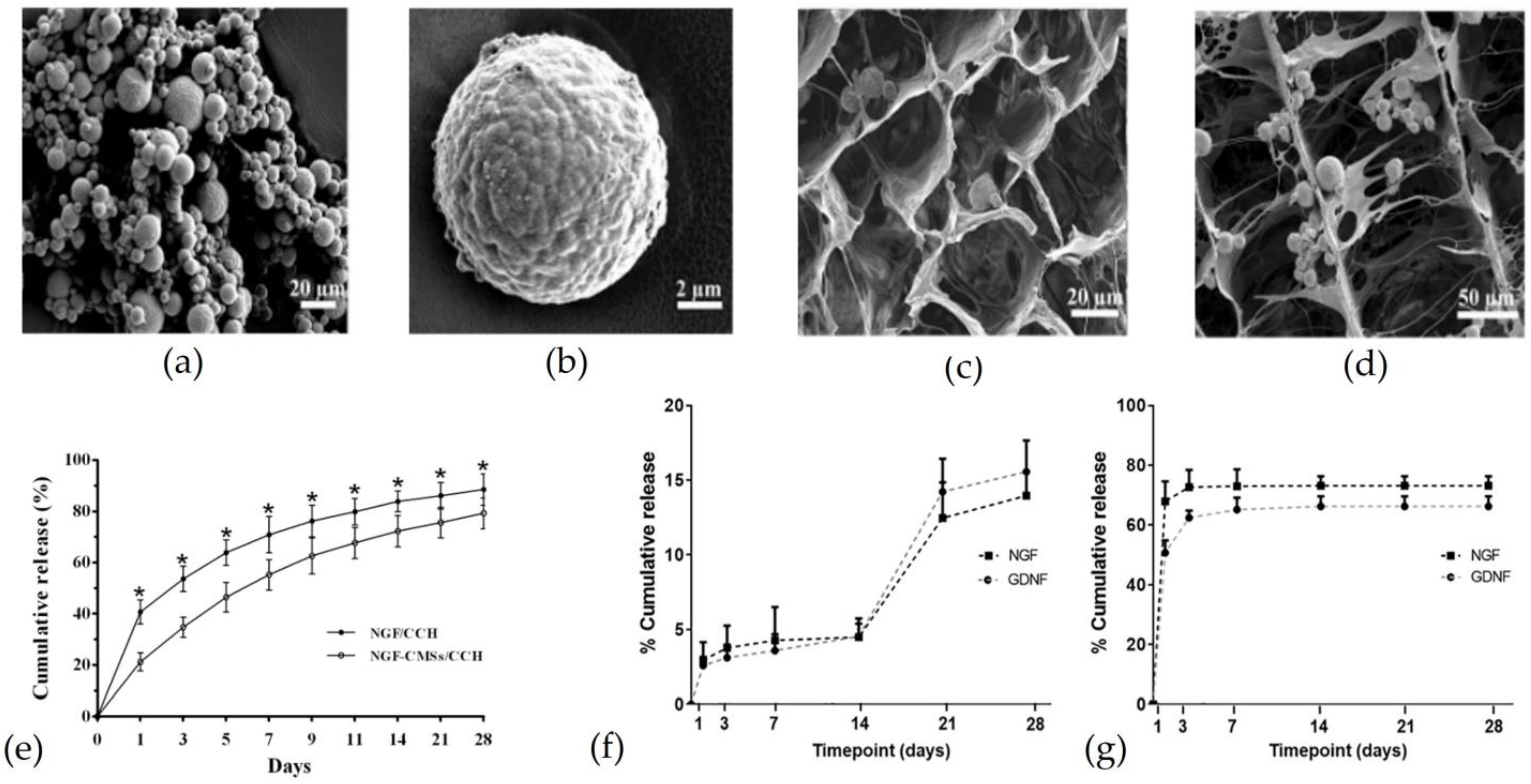 Pharmaceutics 15 00640 g005 Pharmaceutics 15 00640 g005