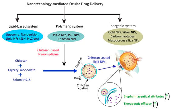 Amination-mediated nano eye-drops with enhanced corneal