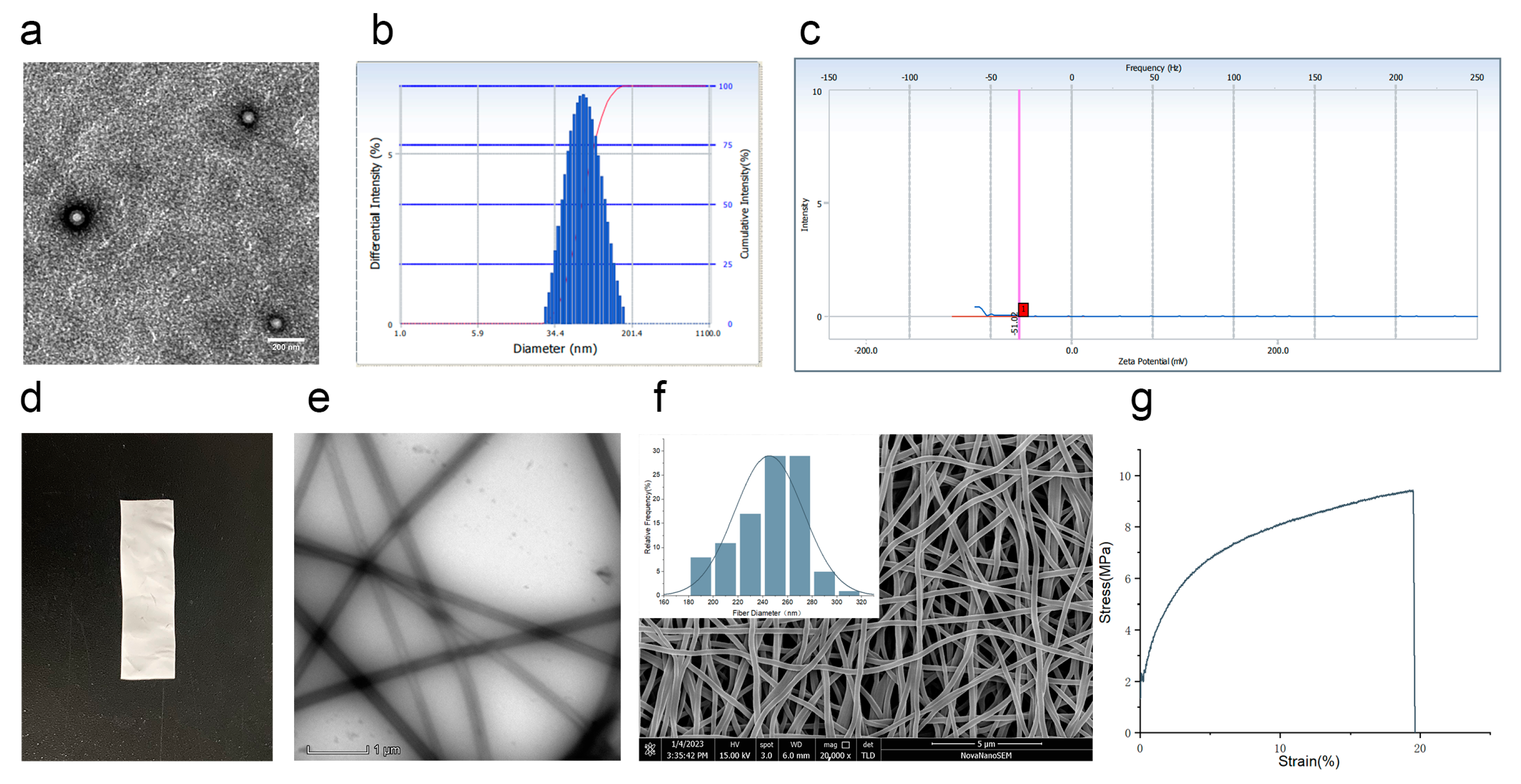 Pharmaceutics 15 00730 g003