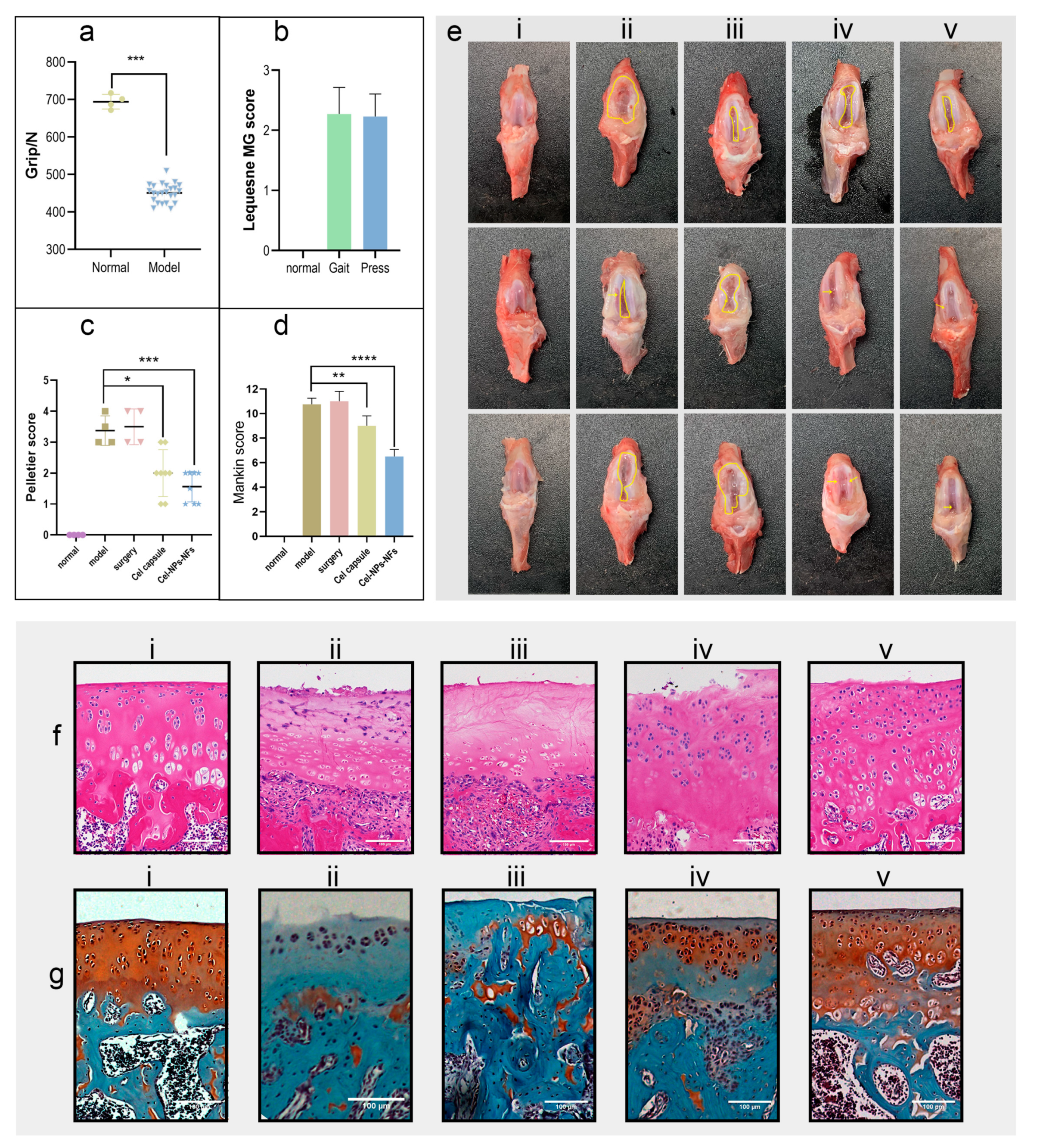Pharmaceutics 15 00730 g007