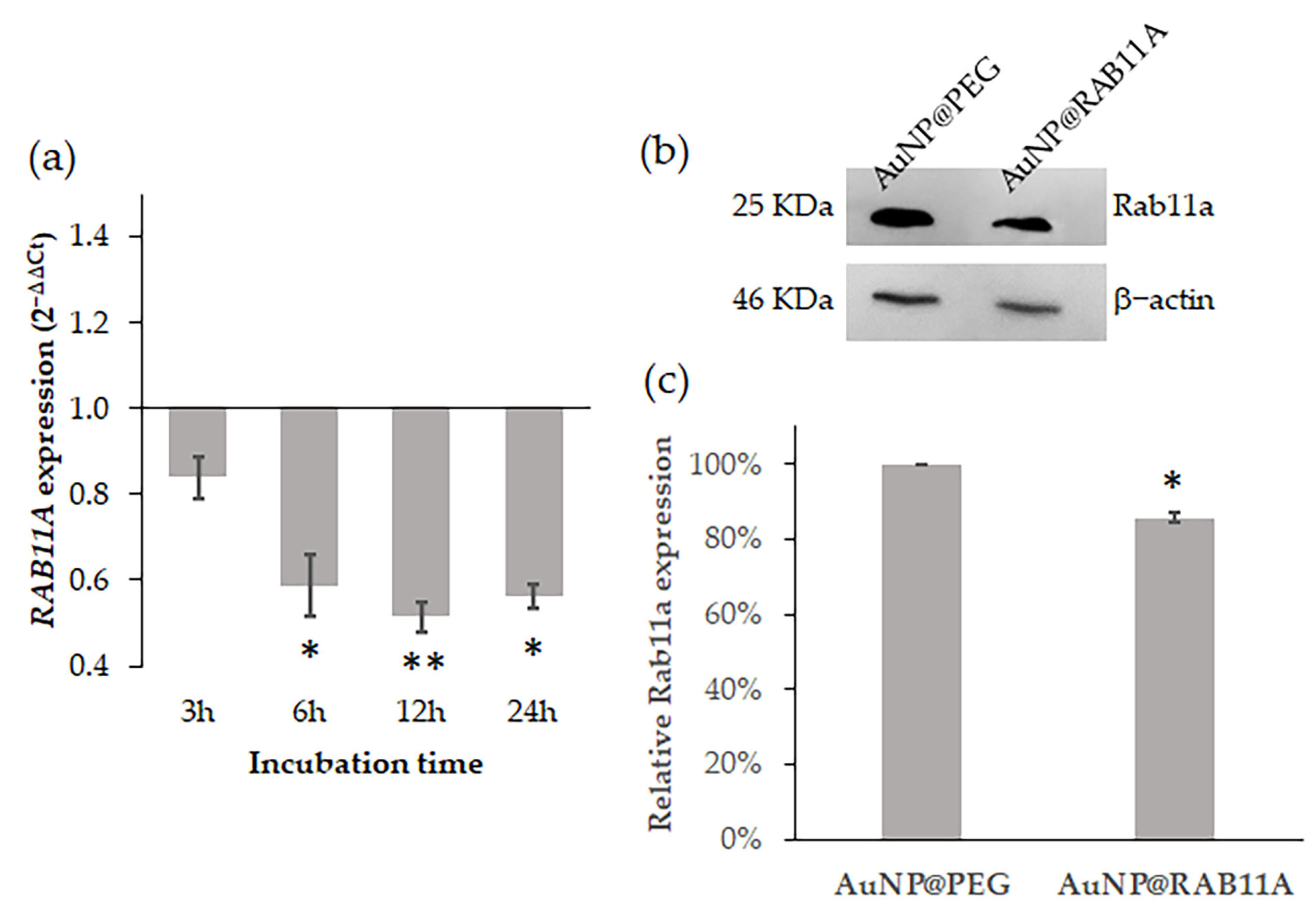 Pharmaceutics 15 00742 g001