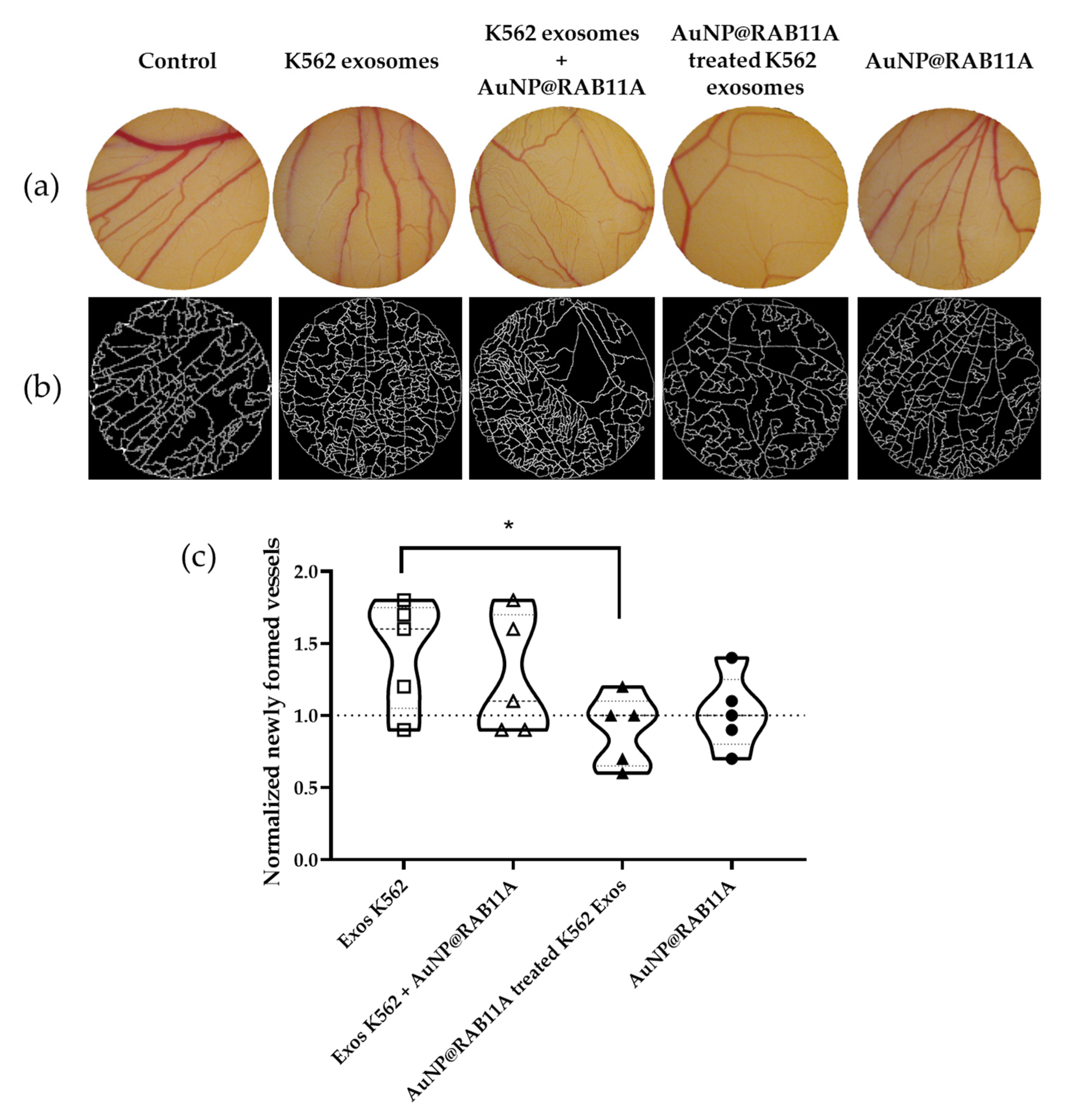 Pharmaceutics 15 00742 g003