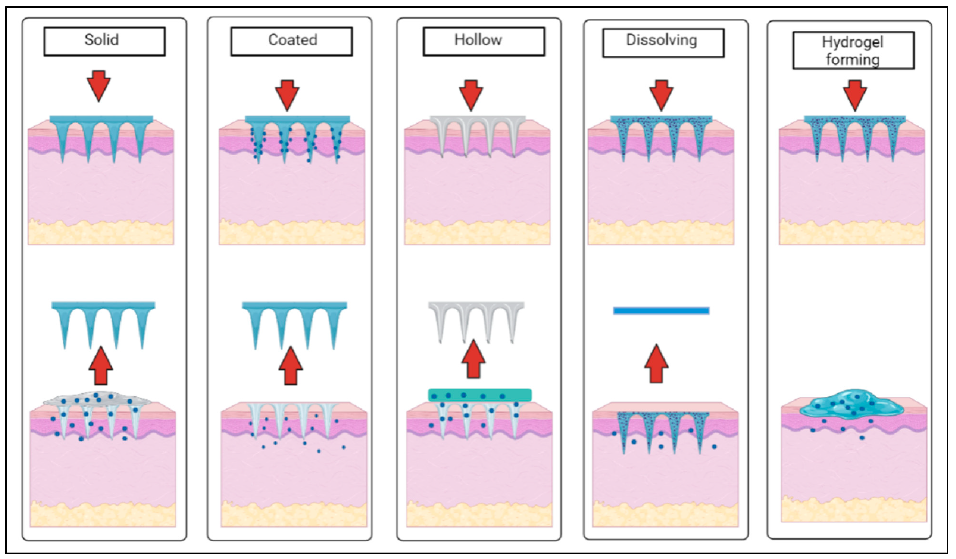 Pharmaceutics 15 00744 g002 Pharmaceutics 15 00744 g002