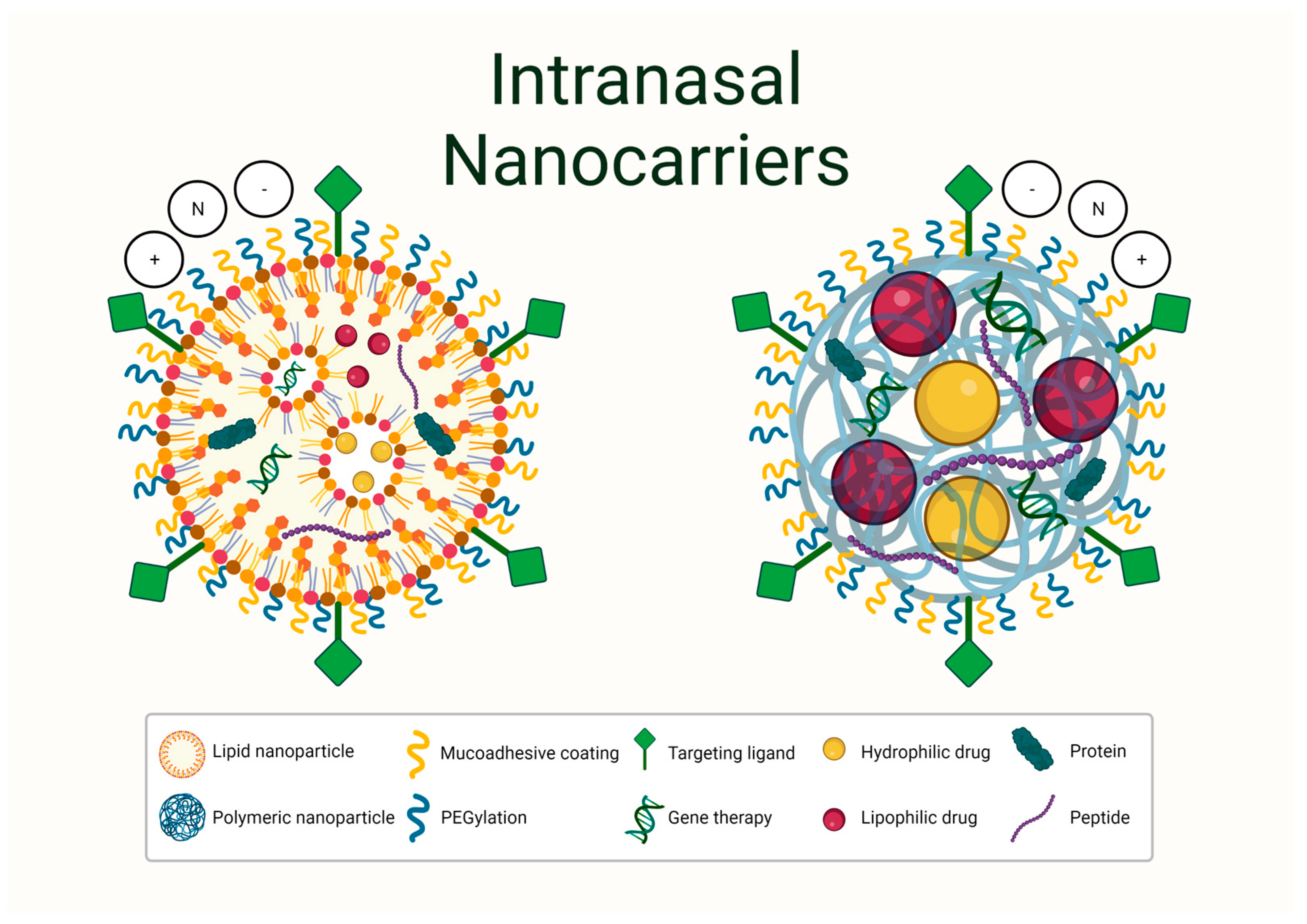 Pharmaceutics 15 00746 g003 Pharmaceutics 15 00746 g003