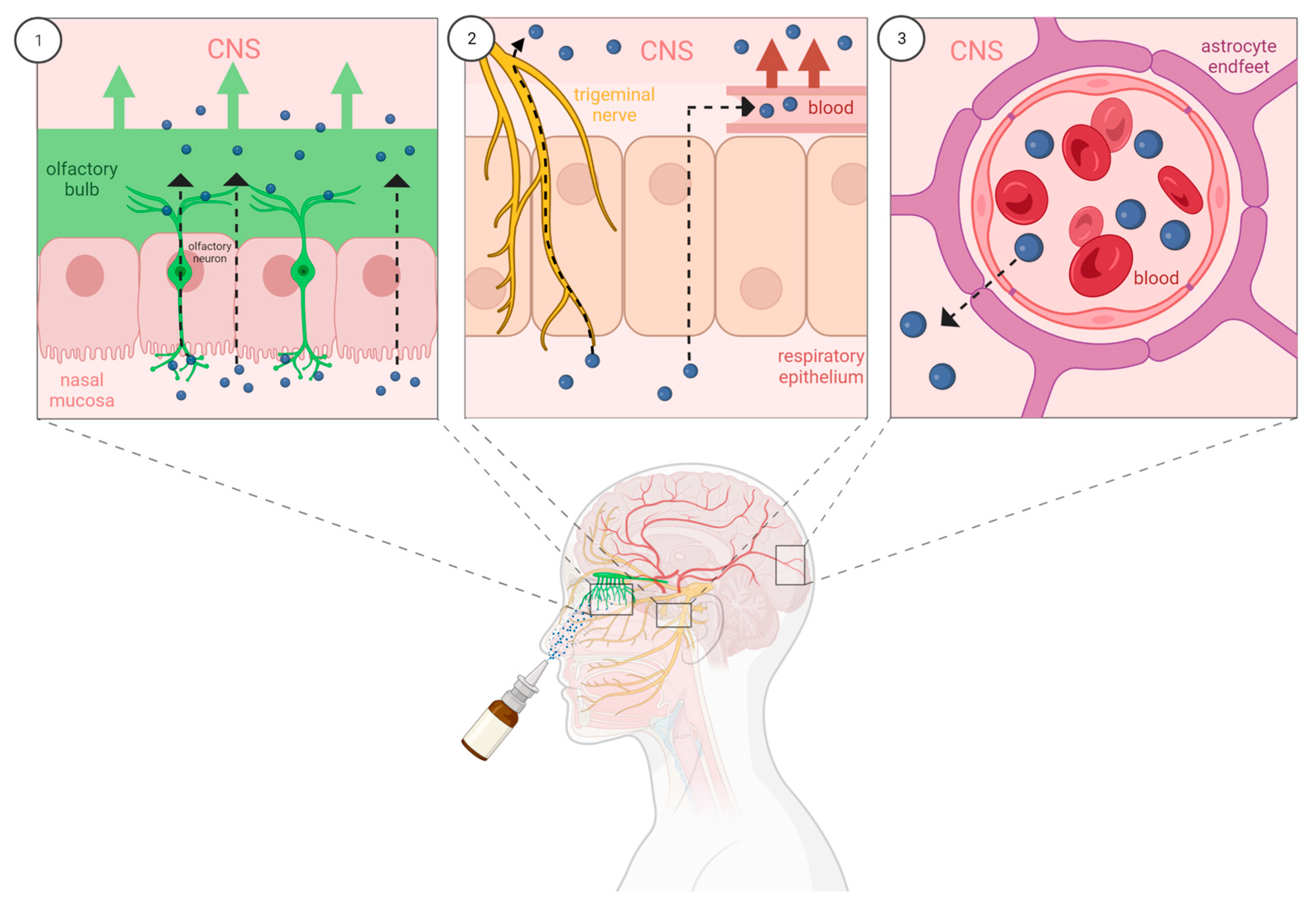 Pharmaceutics 15 00746 g004 Pharmaceutics 15 00746 g004