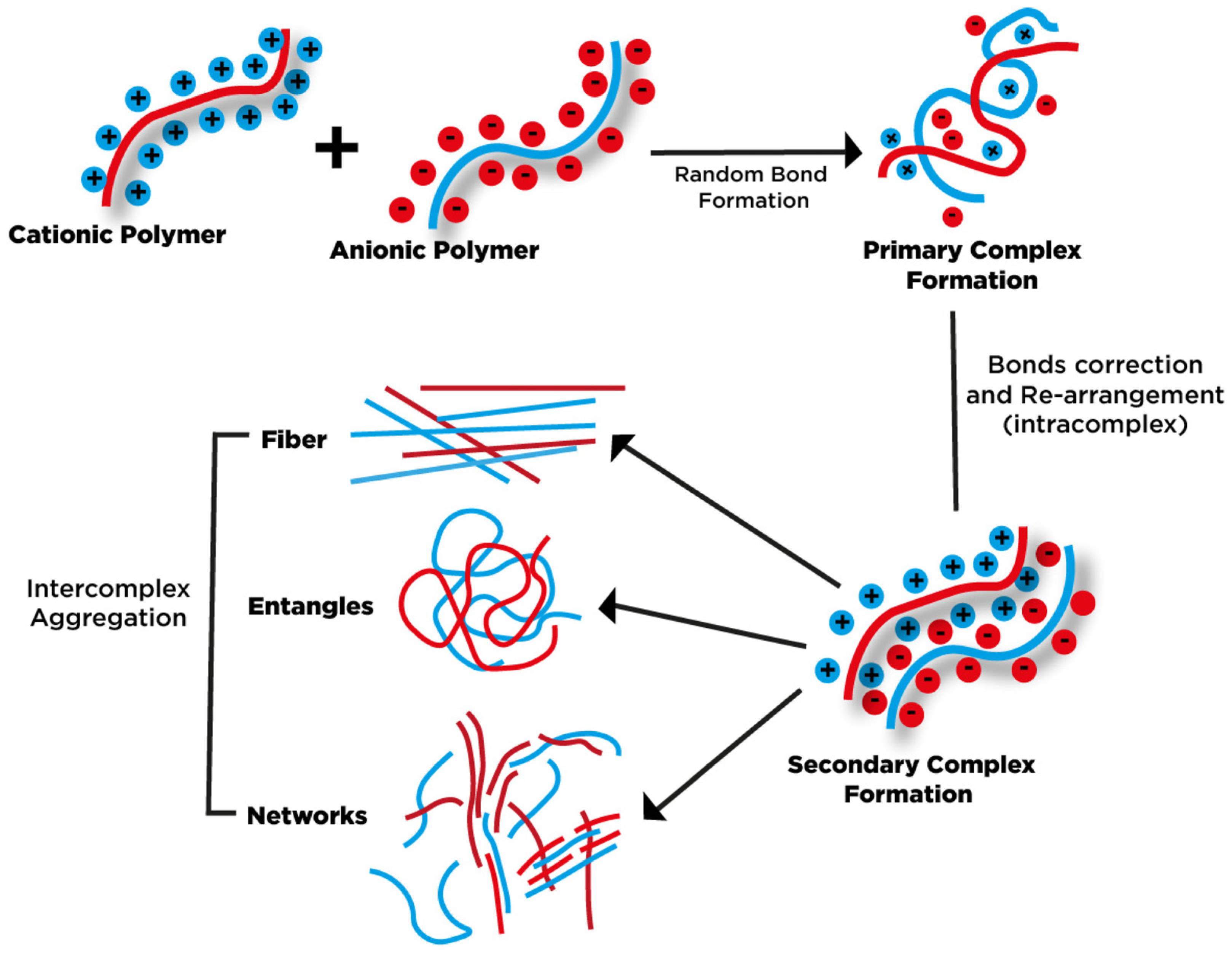 Pharmaceutics 15 00759 g004 Pharmaceutics 15 00759 g004