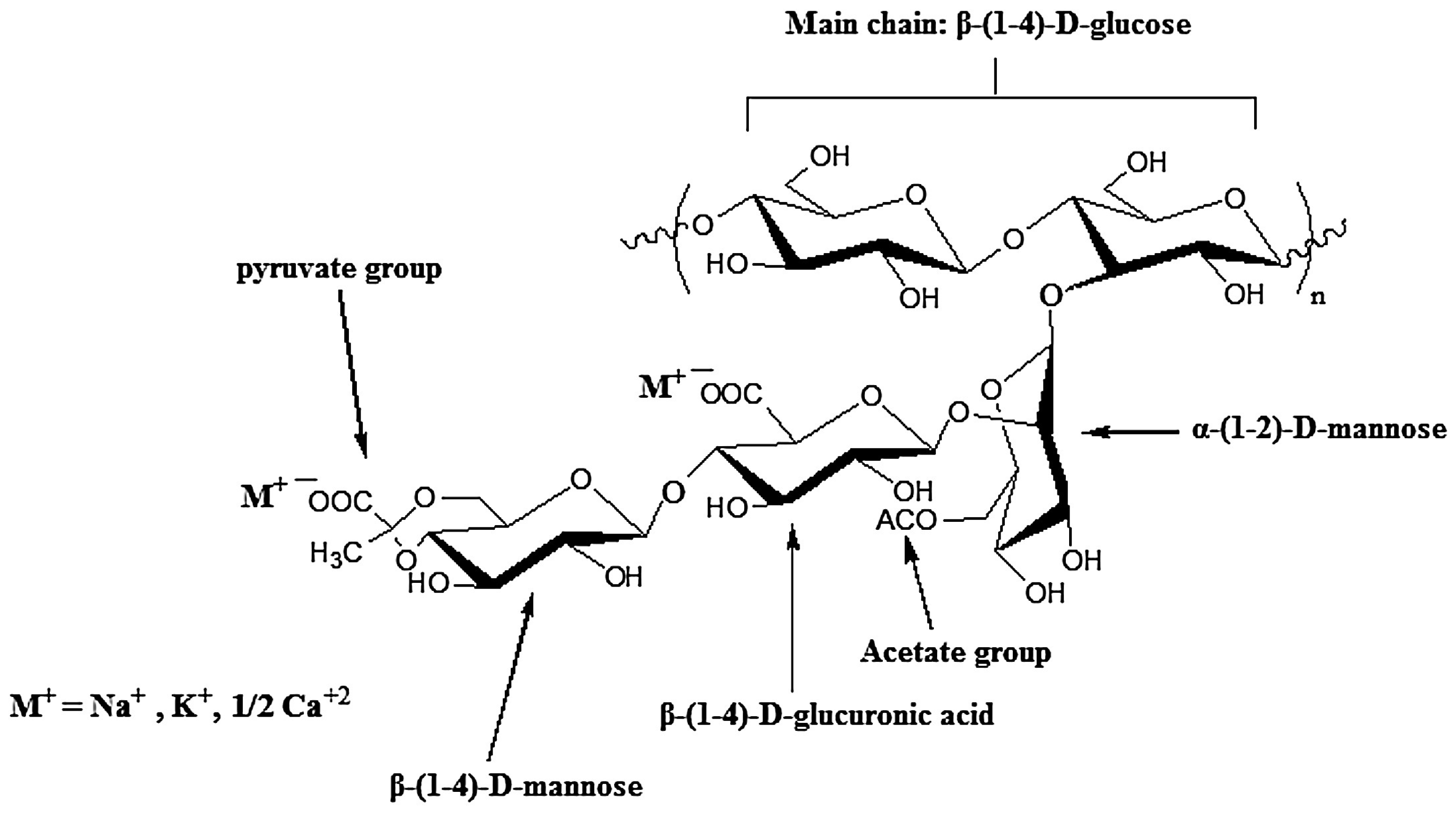 Pharmaceutics 15 00759 g011 Pharmaceutics 15 00759 g011