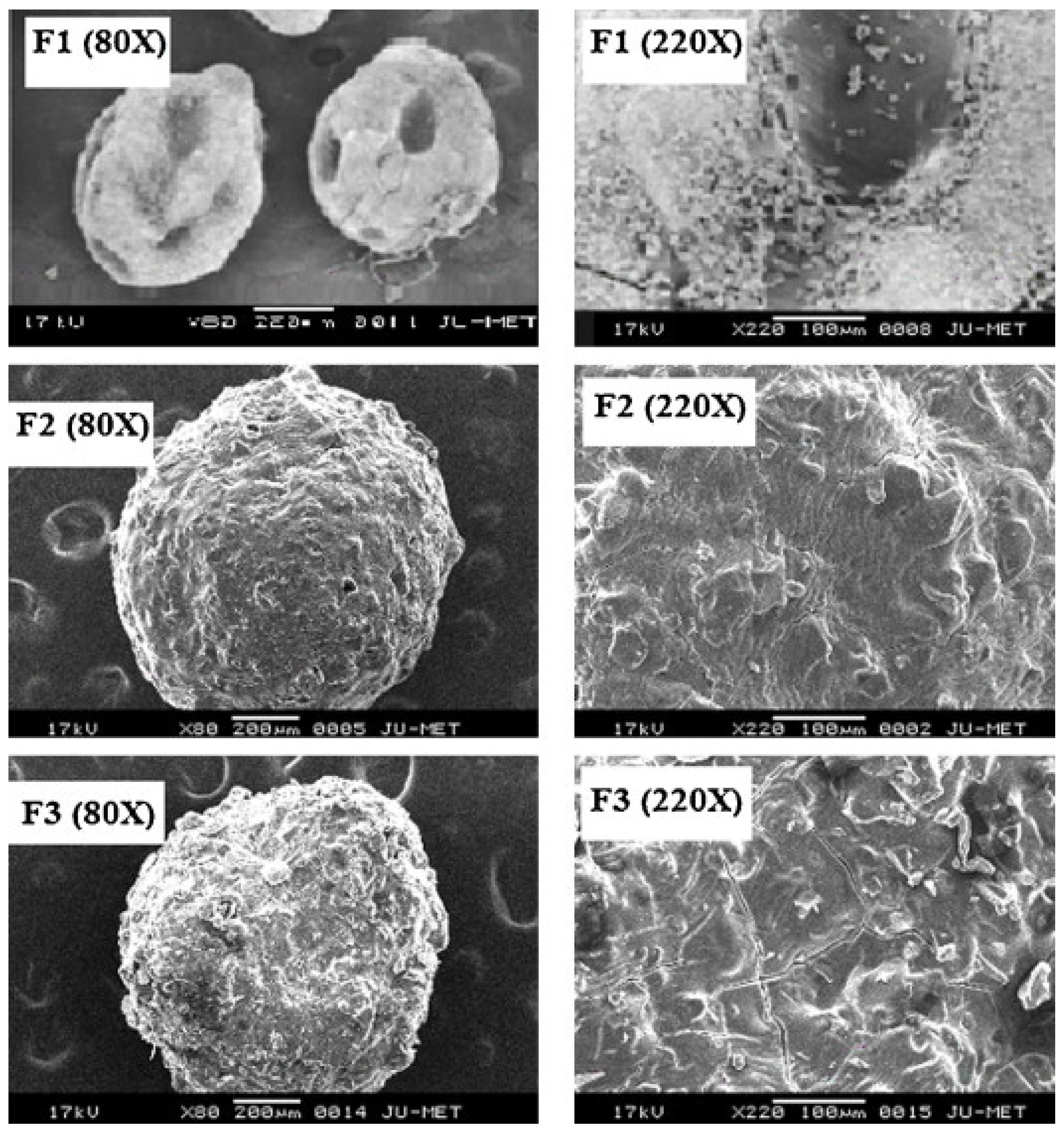 Pharmaceutics 15 00759 g012 Pharmaceutics 15 00759 g012