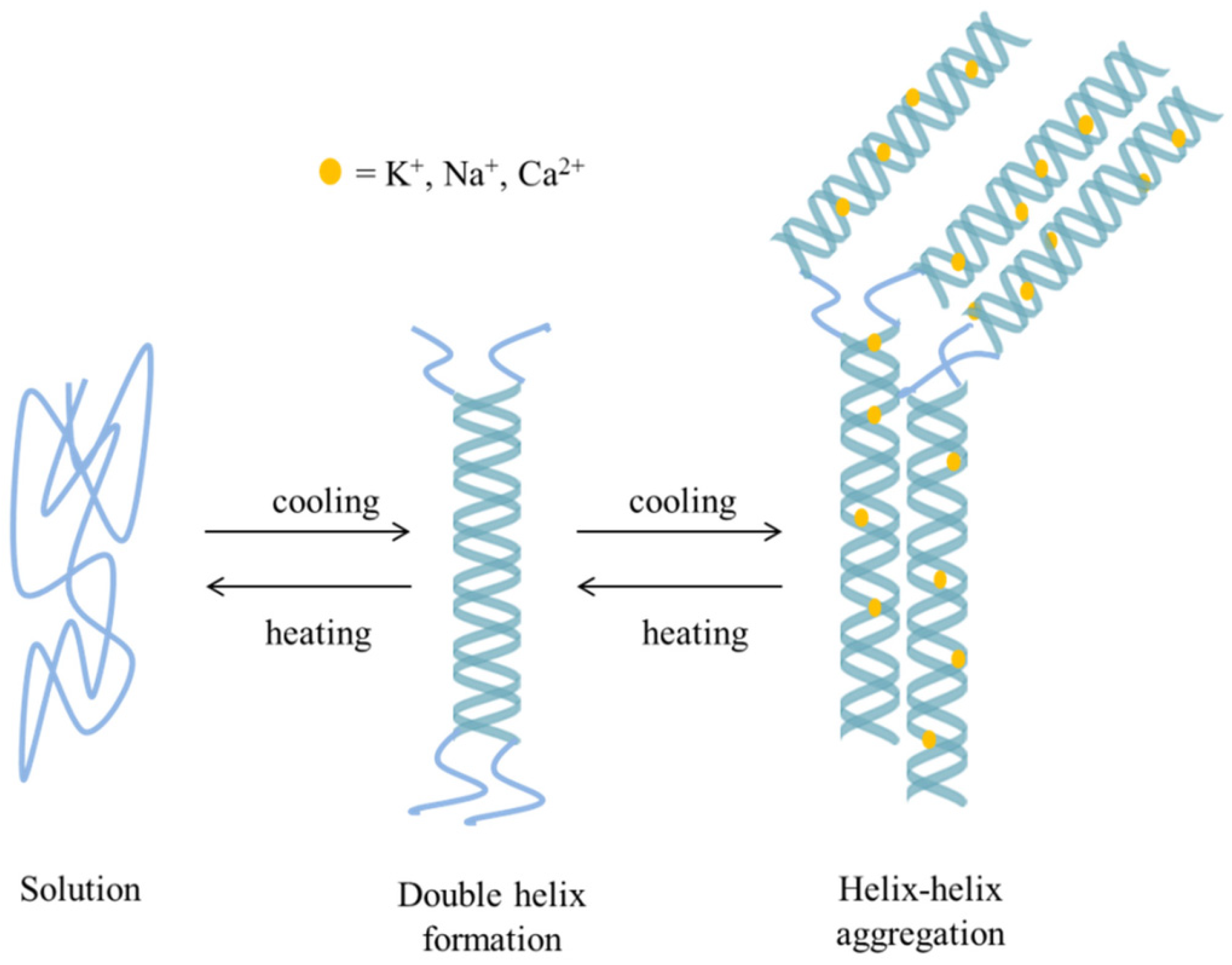 Pharmaceutics 15 00759 g021 Pharmaceutics 15 00759 g021