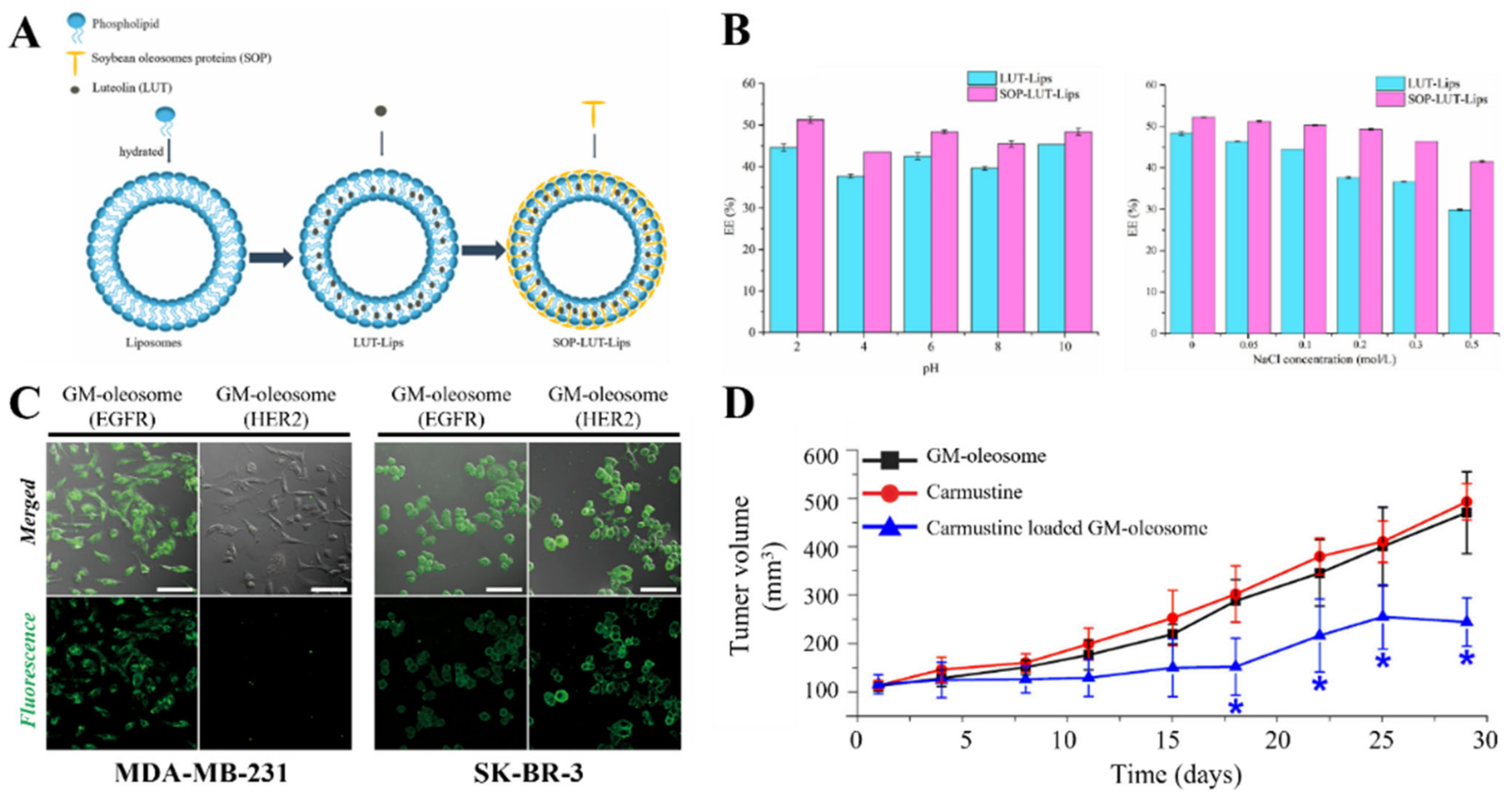 Pharmaceutics 15 00772 g007
