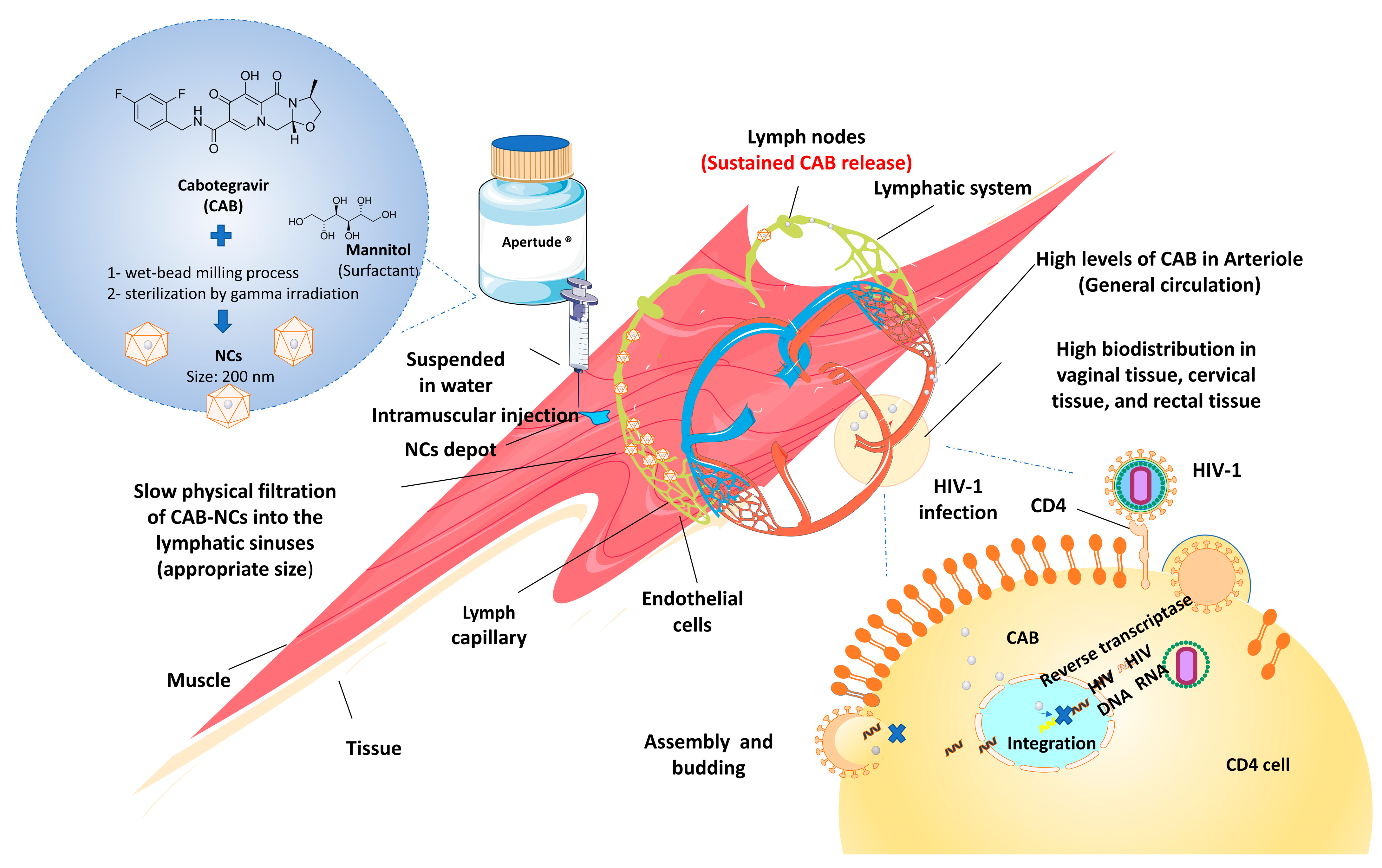 Pharmaceutics 15 00774 g002