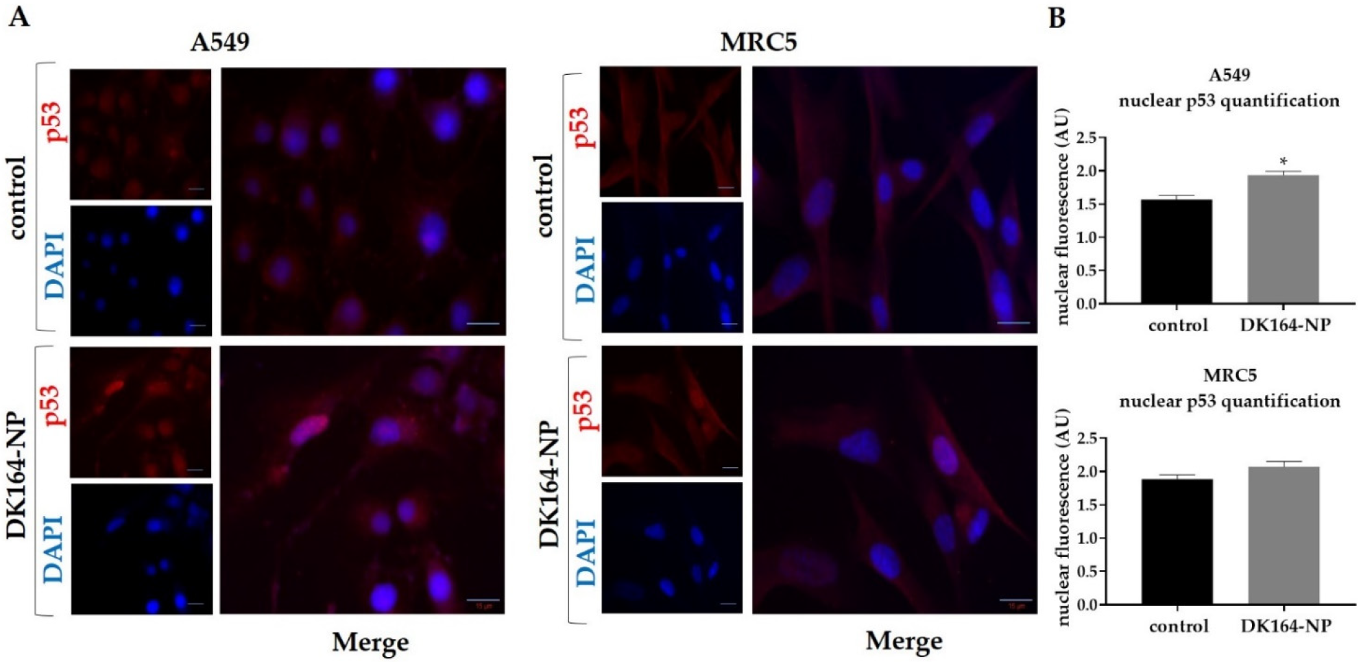 Pharmaceutics 15 00791 g007 Pharmaceutics 15 00791 g007