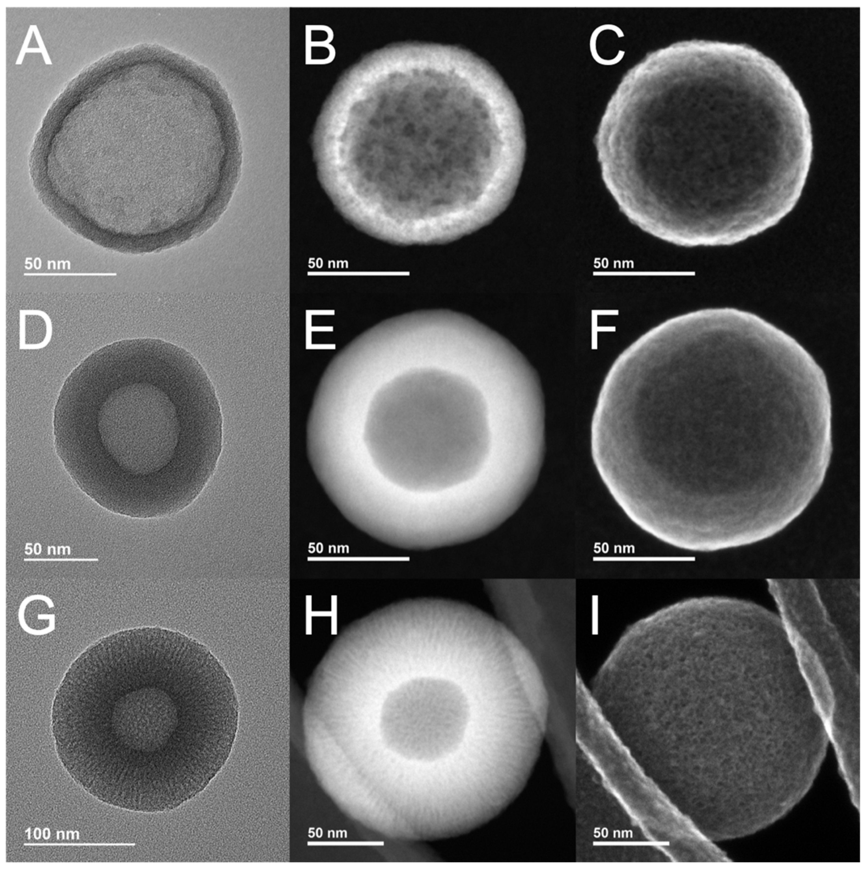 Pharmaceutics 15 00832 g001