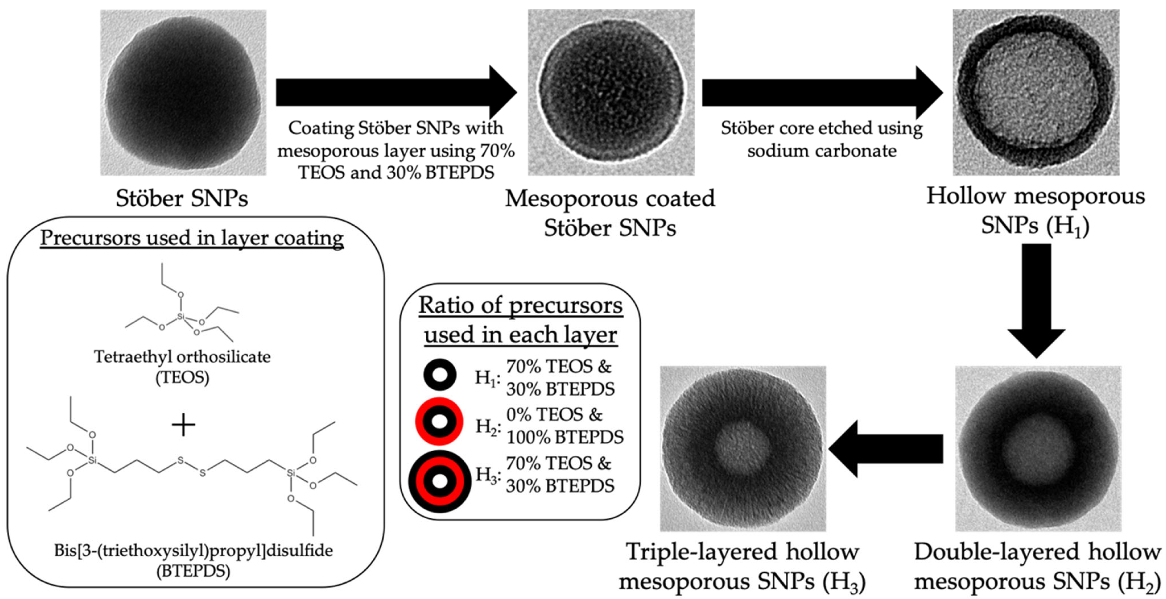 Pharmaceutics 15 00832 sch001
