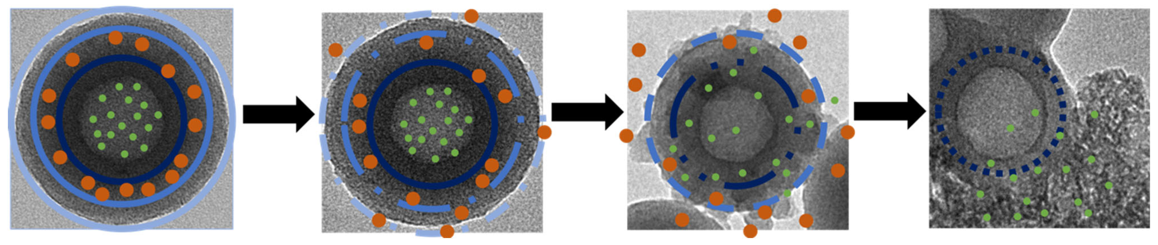 Pharmaceutics 15 00832 sch002
