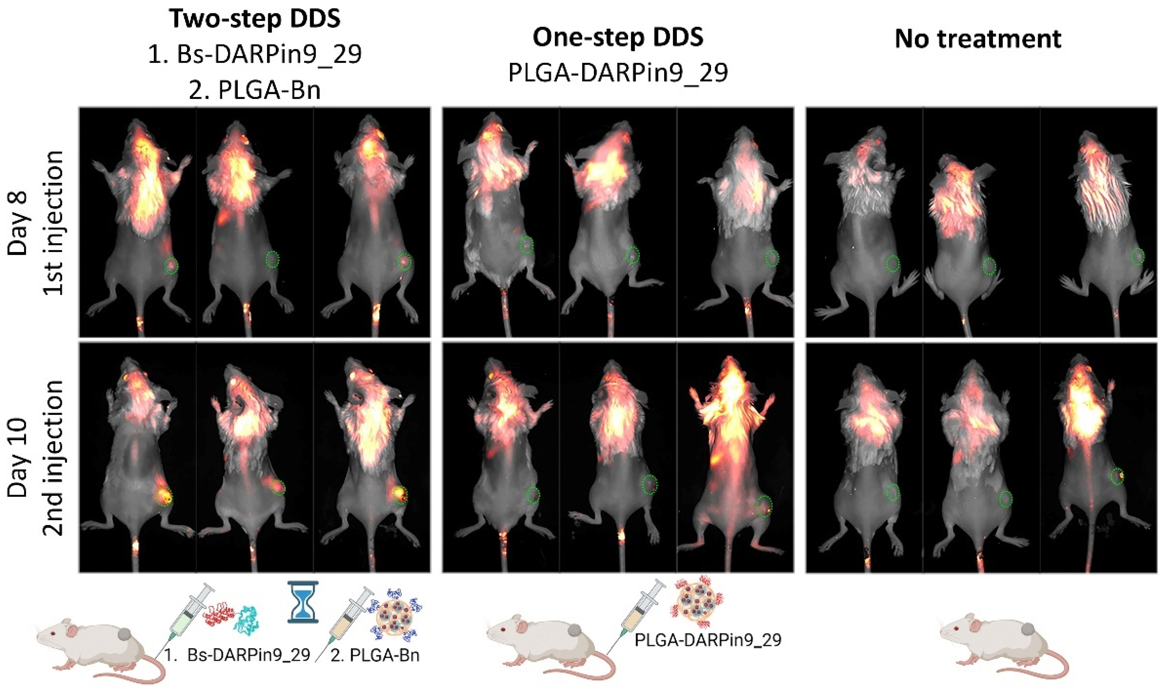 Pharmaceutics 15 00833 g005