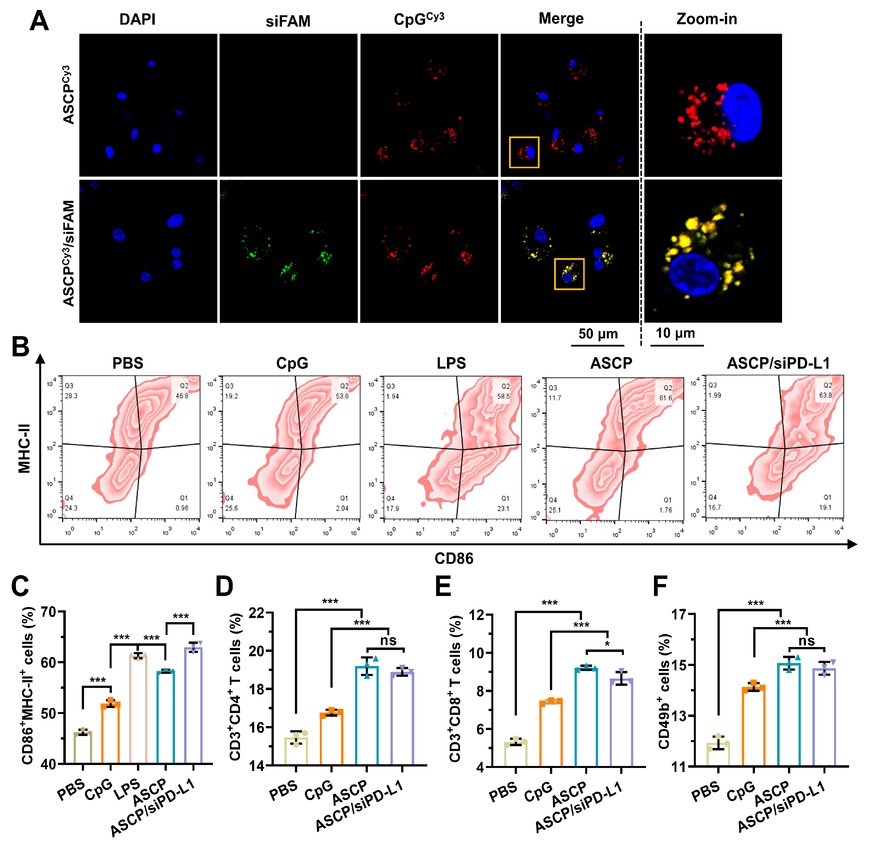 Pharmaceutics 15 00854 g005