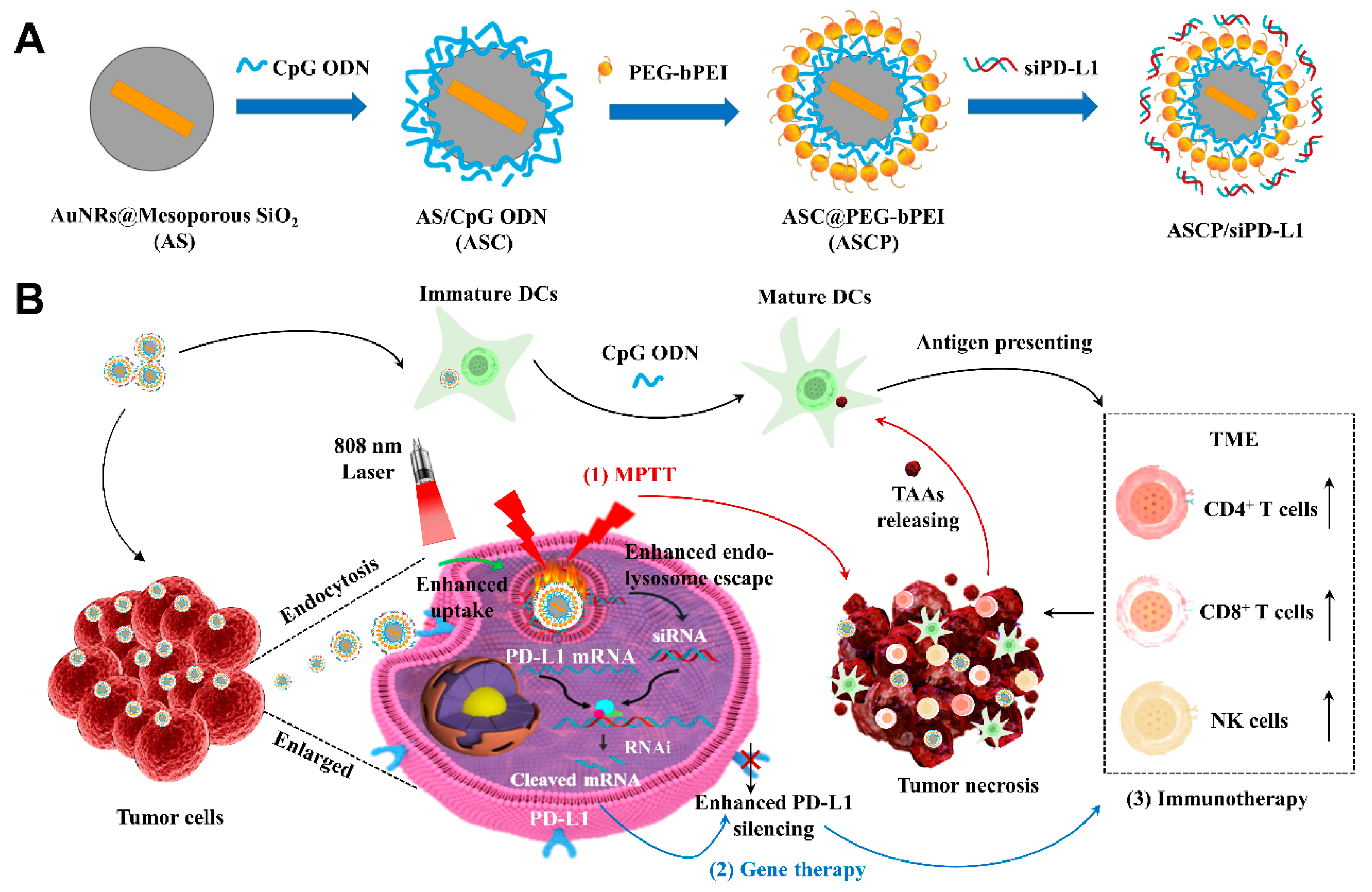 Pharmaceutics 15 00854 sch001