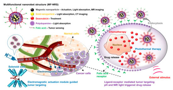 Pharmaceutics | Free Full-Text | A Review Of Advanced Multifunctional ...