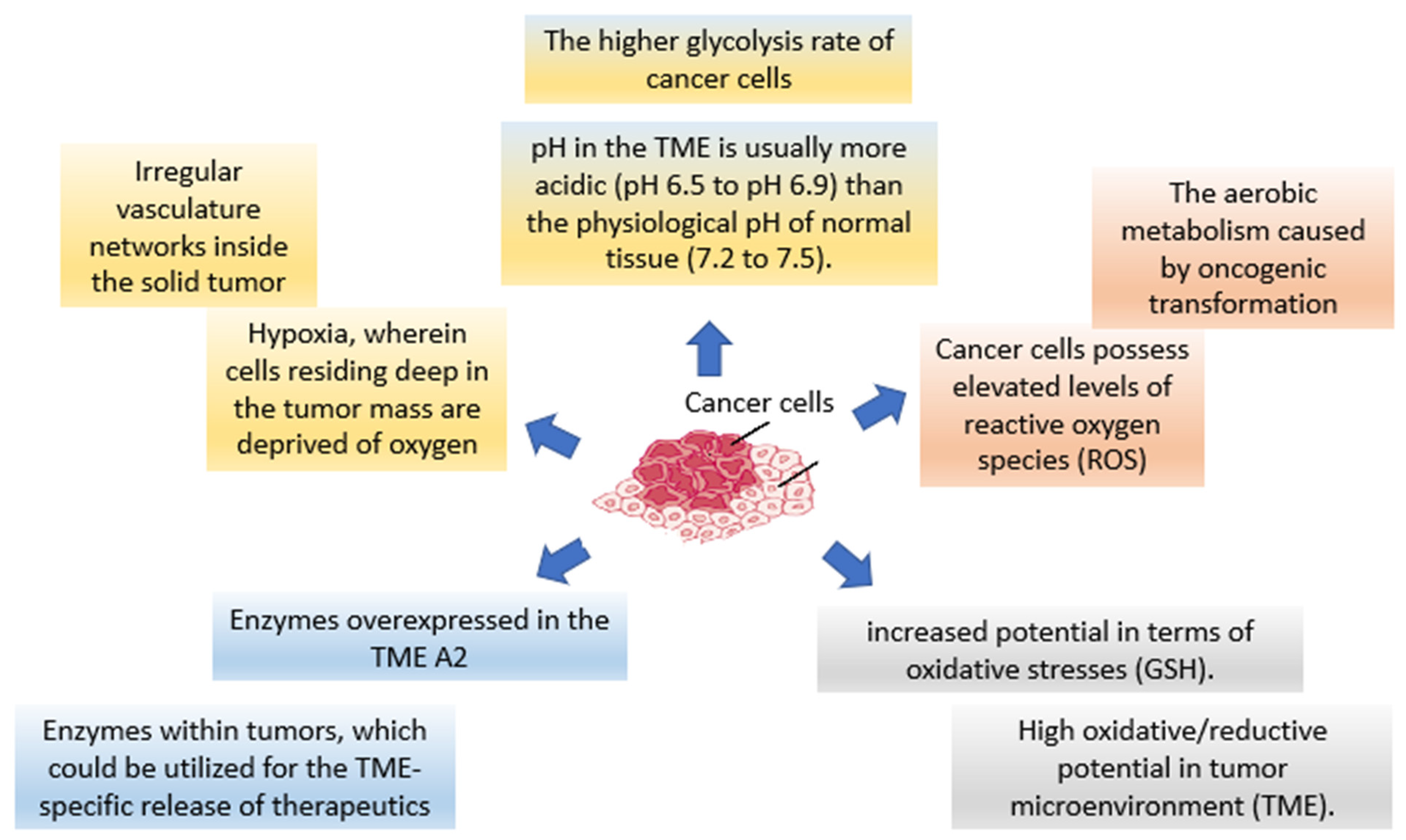 Pharmaceutics 15 00879 g001