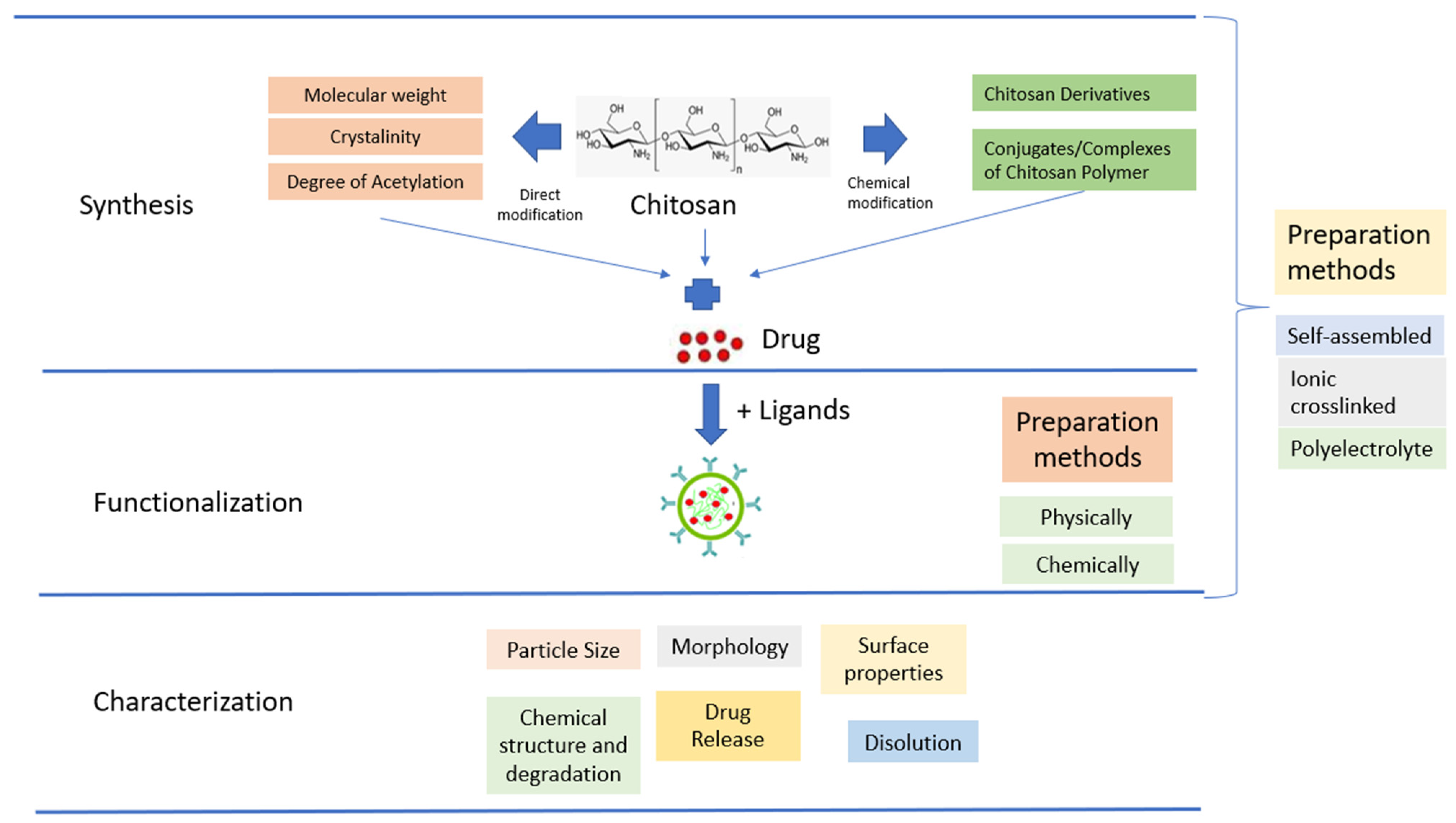 Pharmaceutics 15 00879 g003