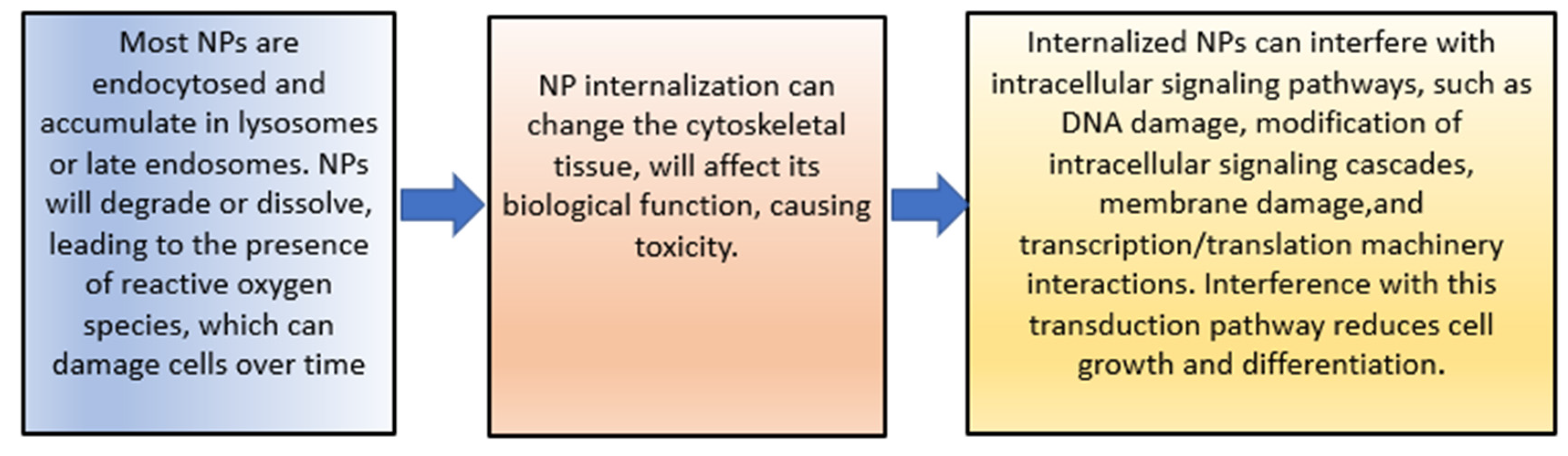 Pharmaceutics 15 00879 g006