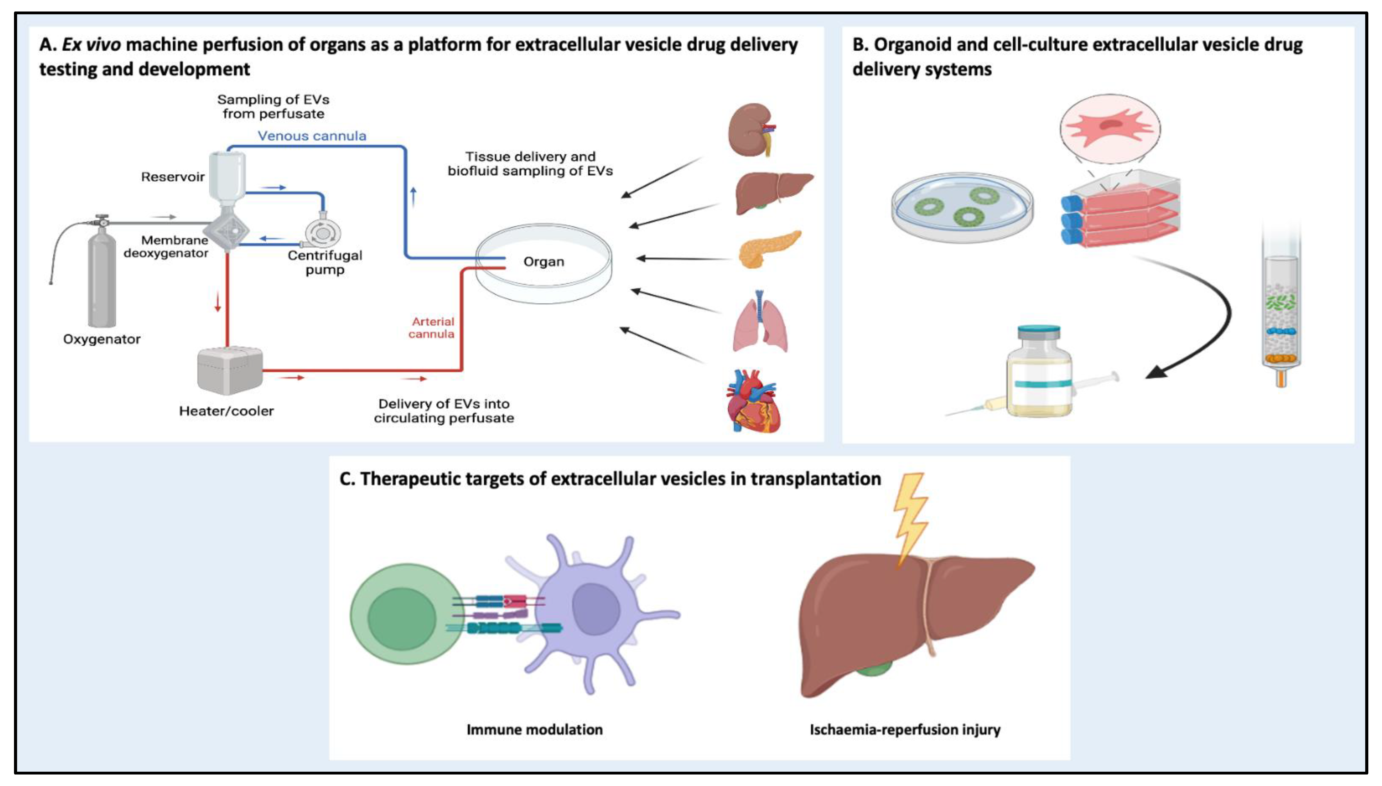 Pharmaceutics 15 00891 g003 Pharmaceutics 15 00891 g003