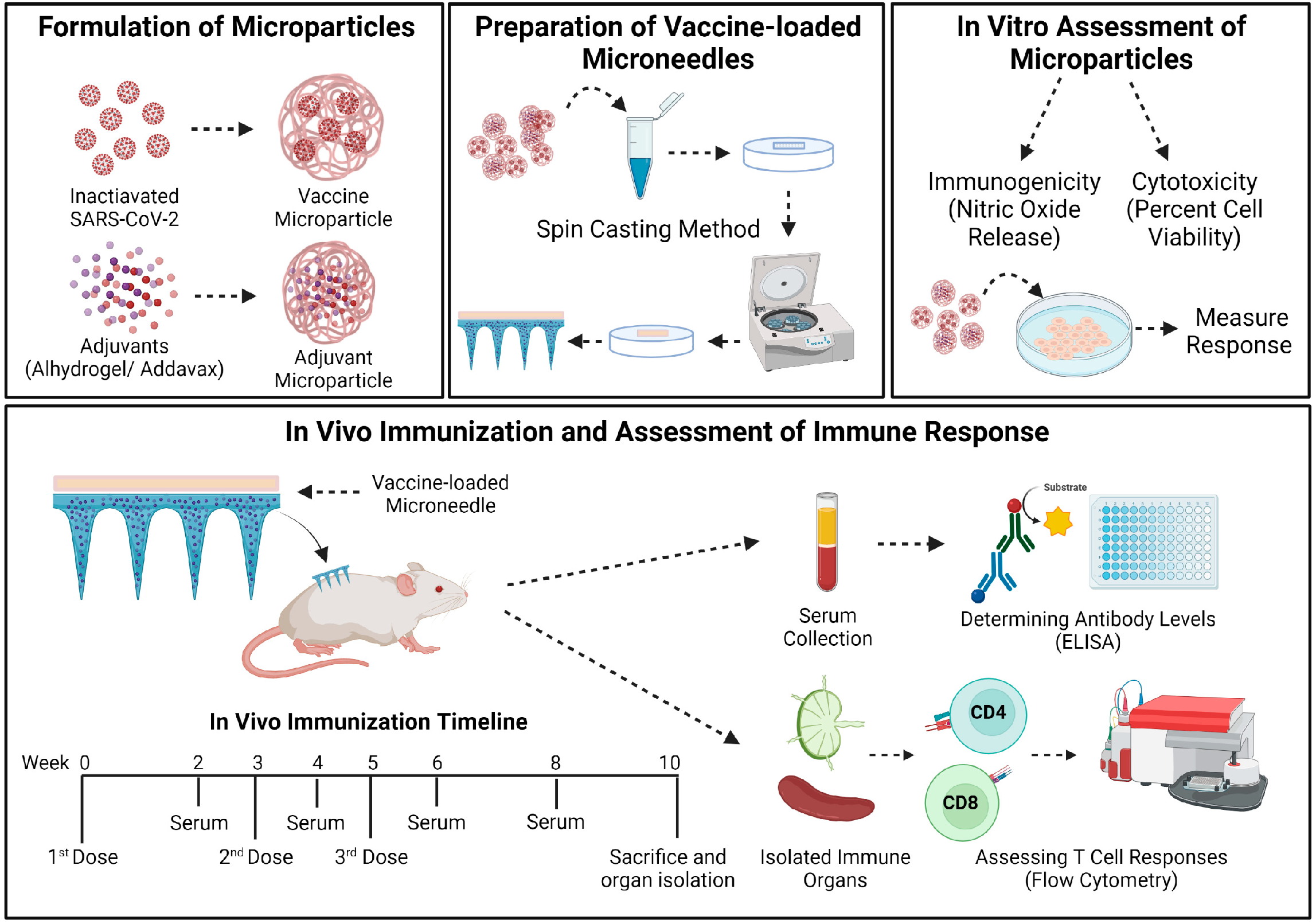 Pharmaceutics 15 00895 g001