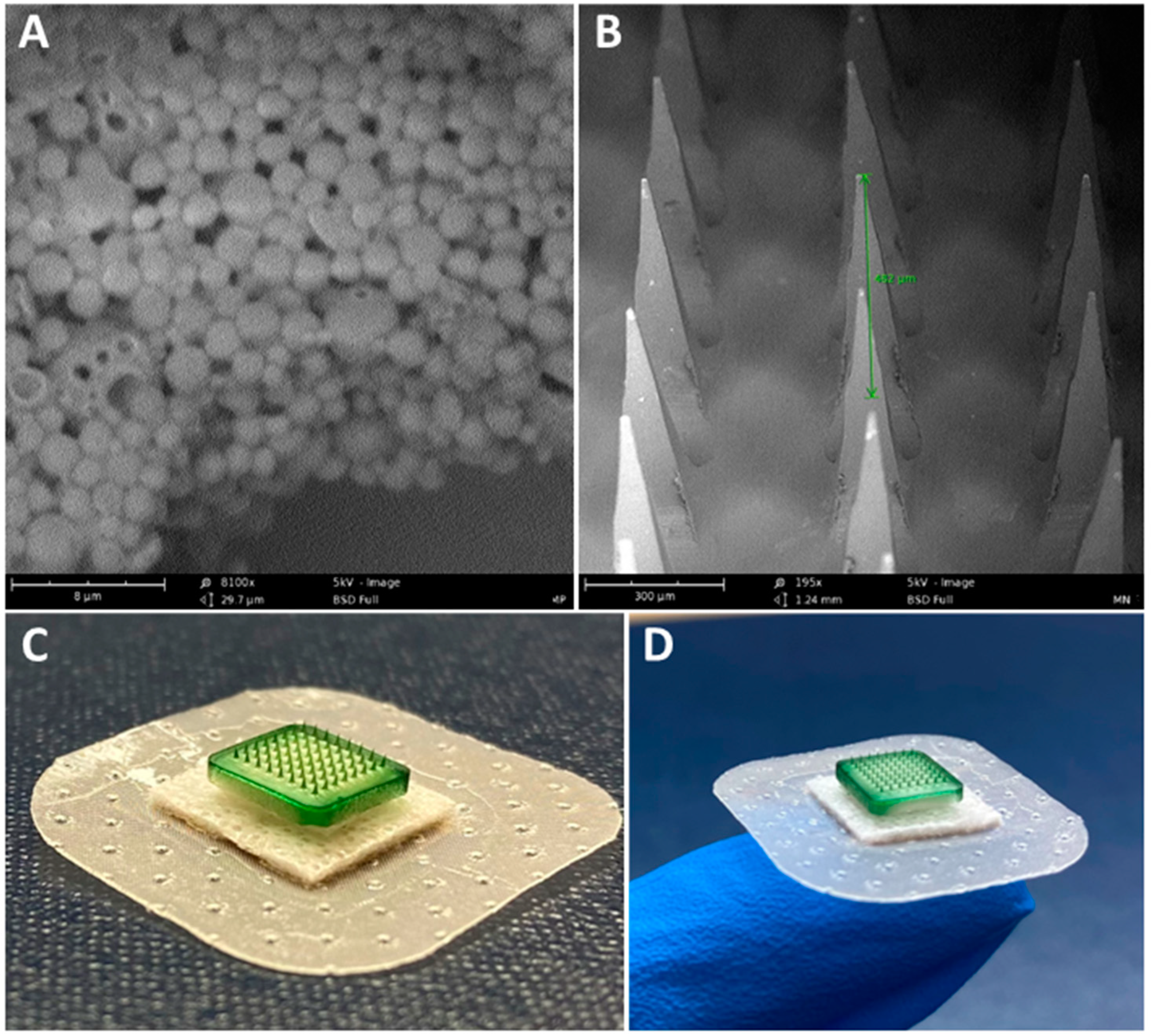 Pharmaceutics 15 00895 g002