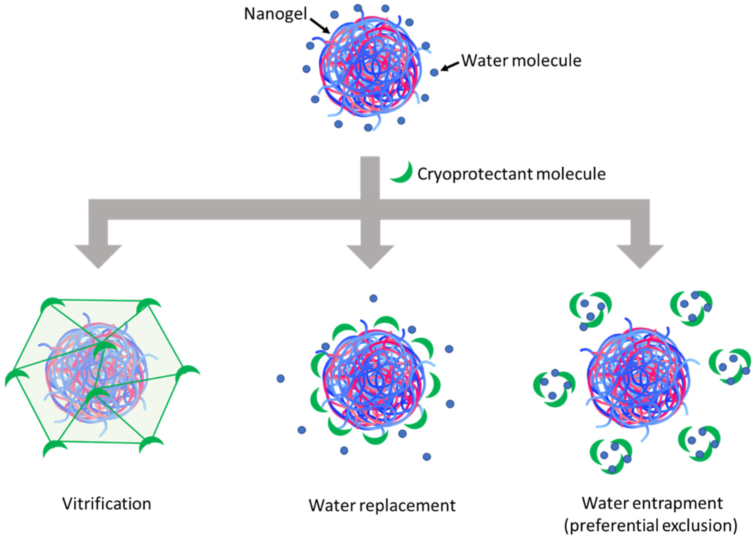 Pharmaceutics 15 00929 g003 Pharmaceutics 15 00929 g003