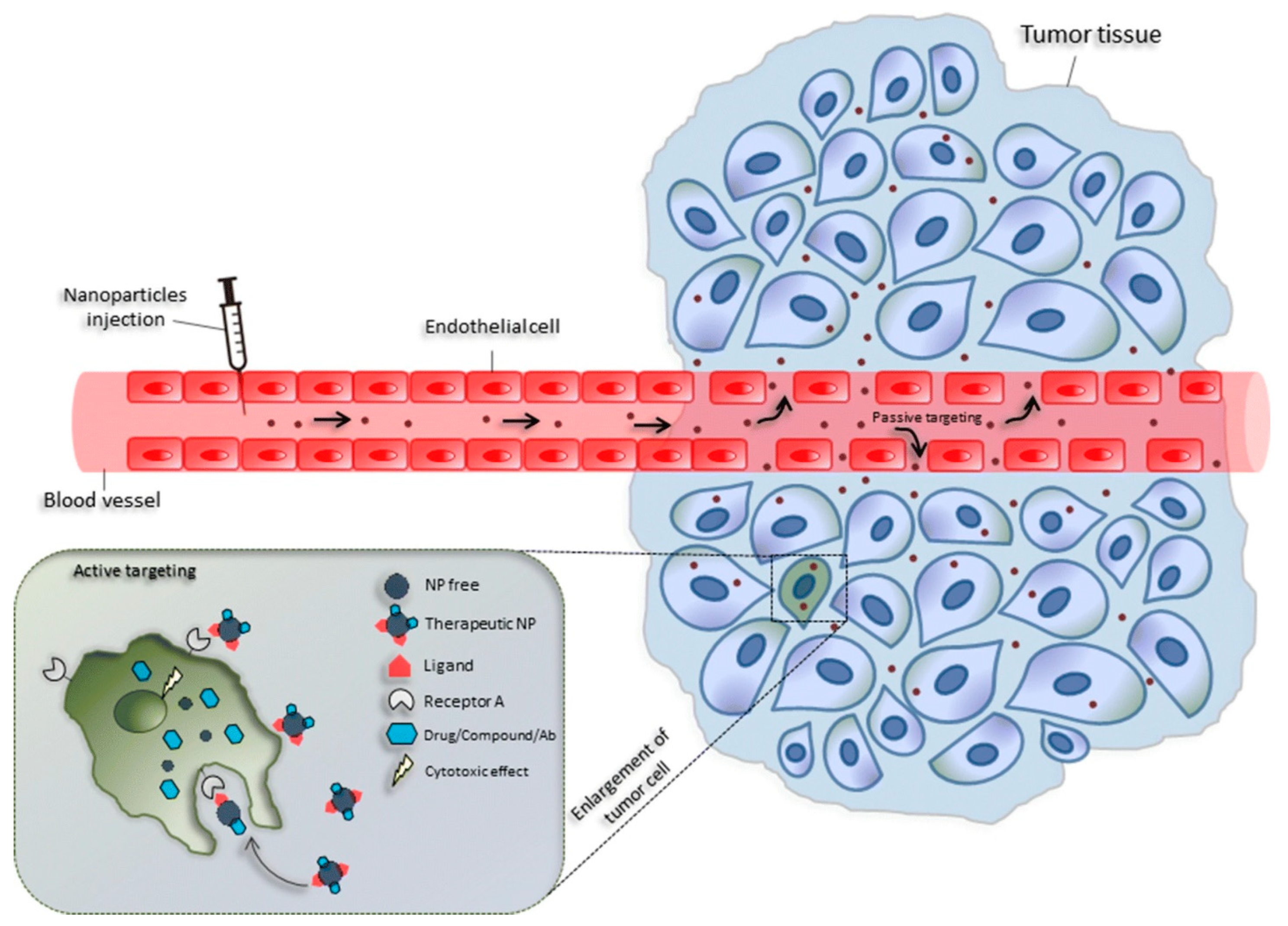 Pharmaceutics | Free Full-Text | Utilization of Functionalized