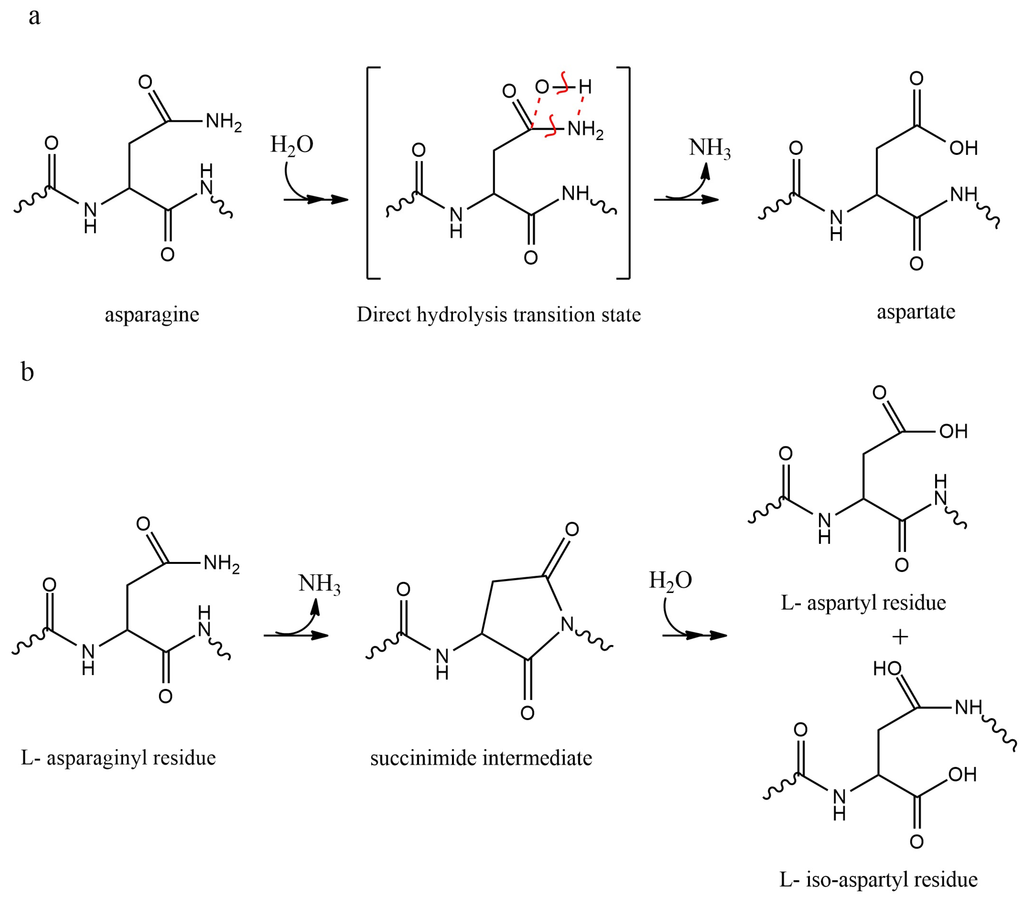 Pharmaceutics 15 00935 g002