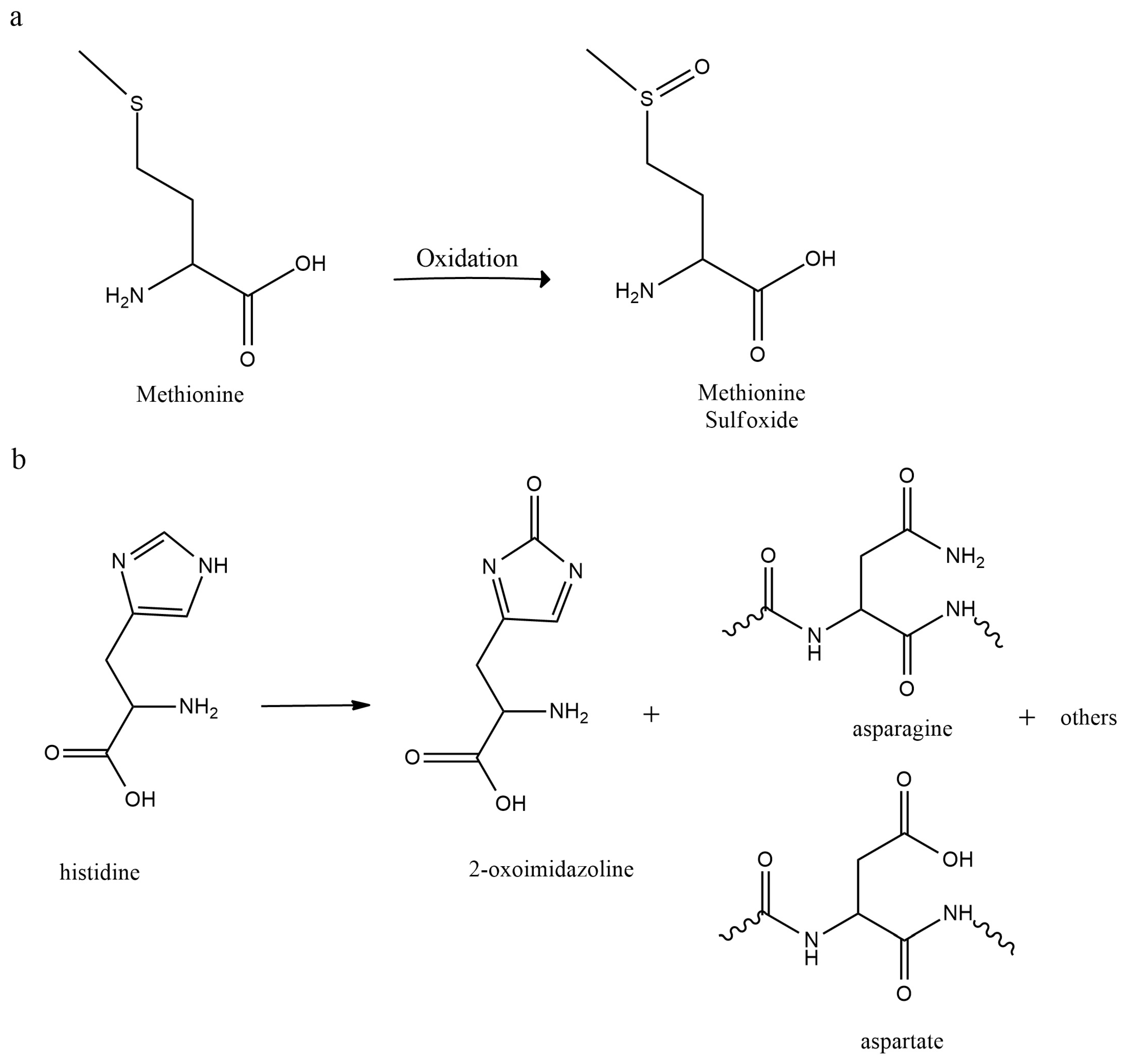 Pharmaceutics 15 00935 g003