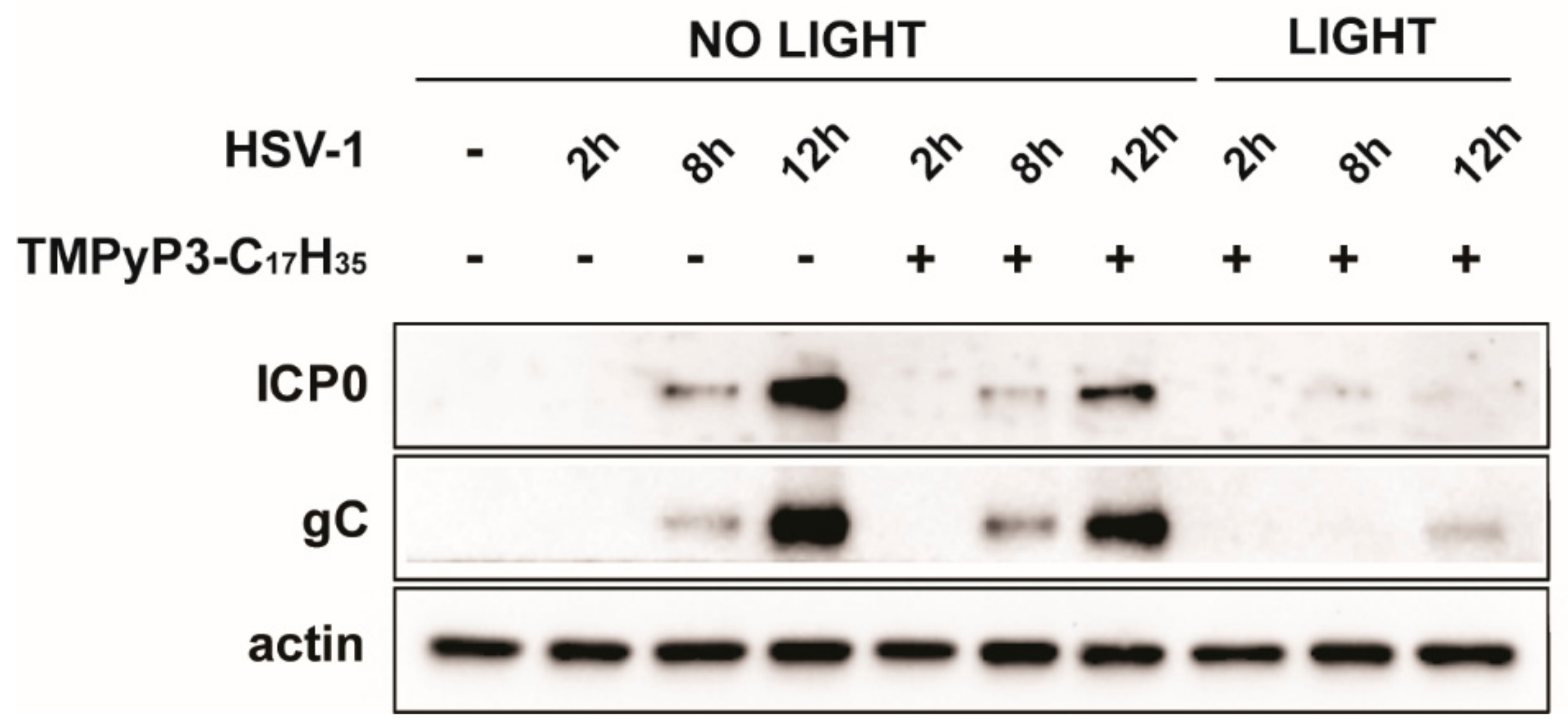 Pharmaceutics 15 00956 g006