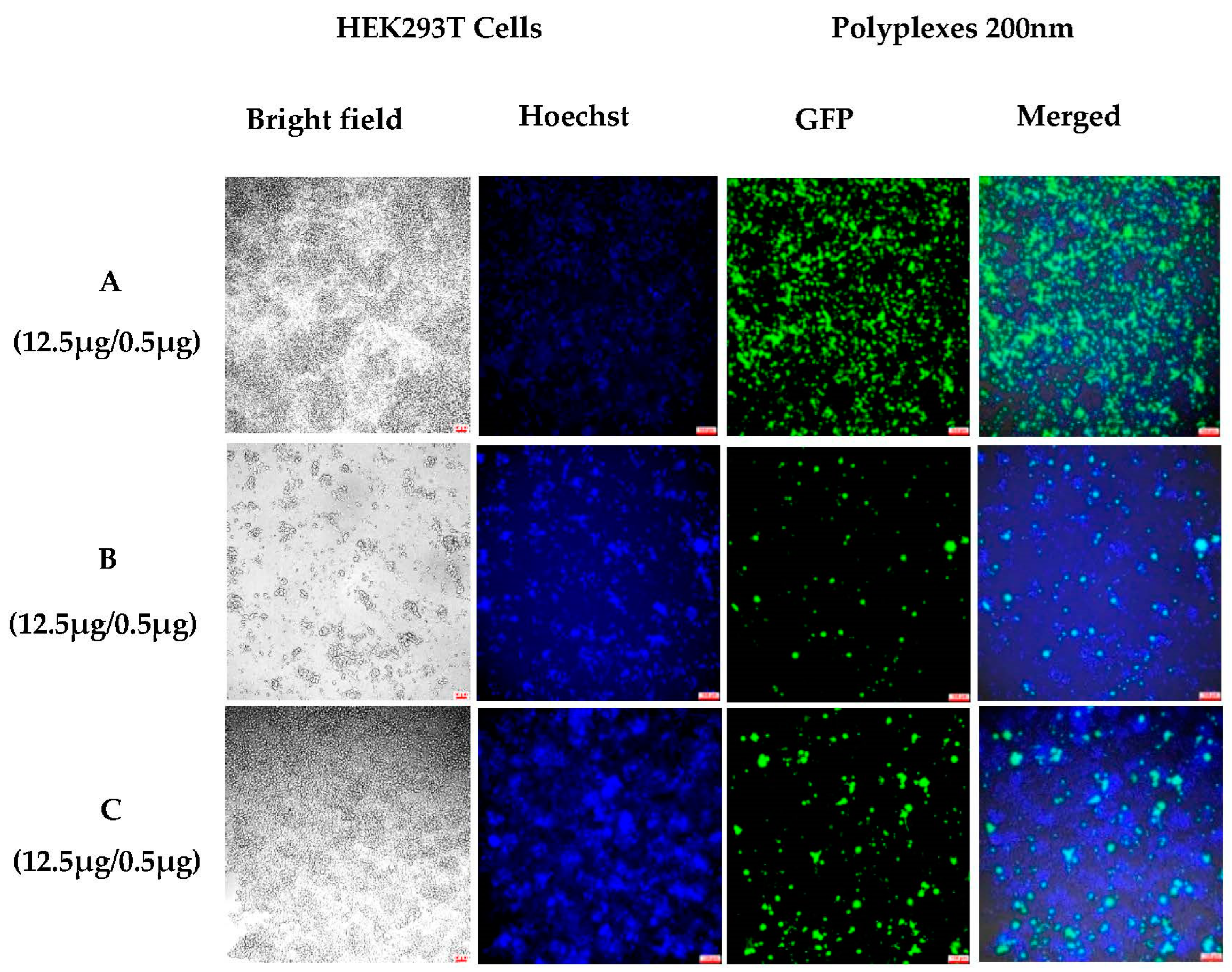 Pharmaceutics 15 00961 g006