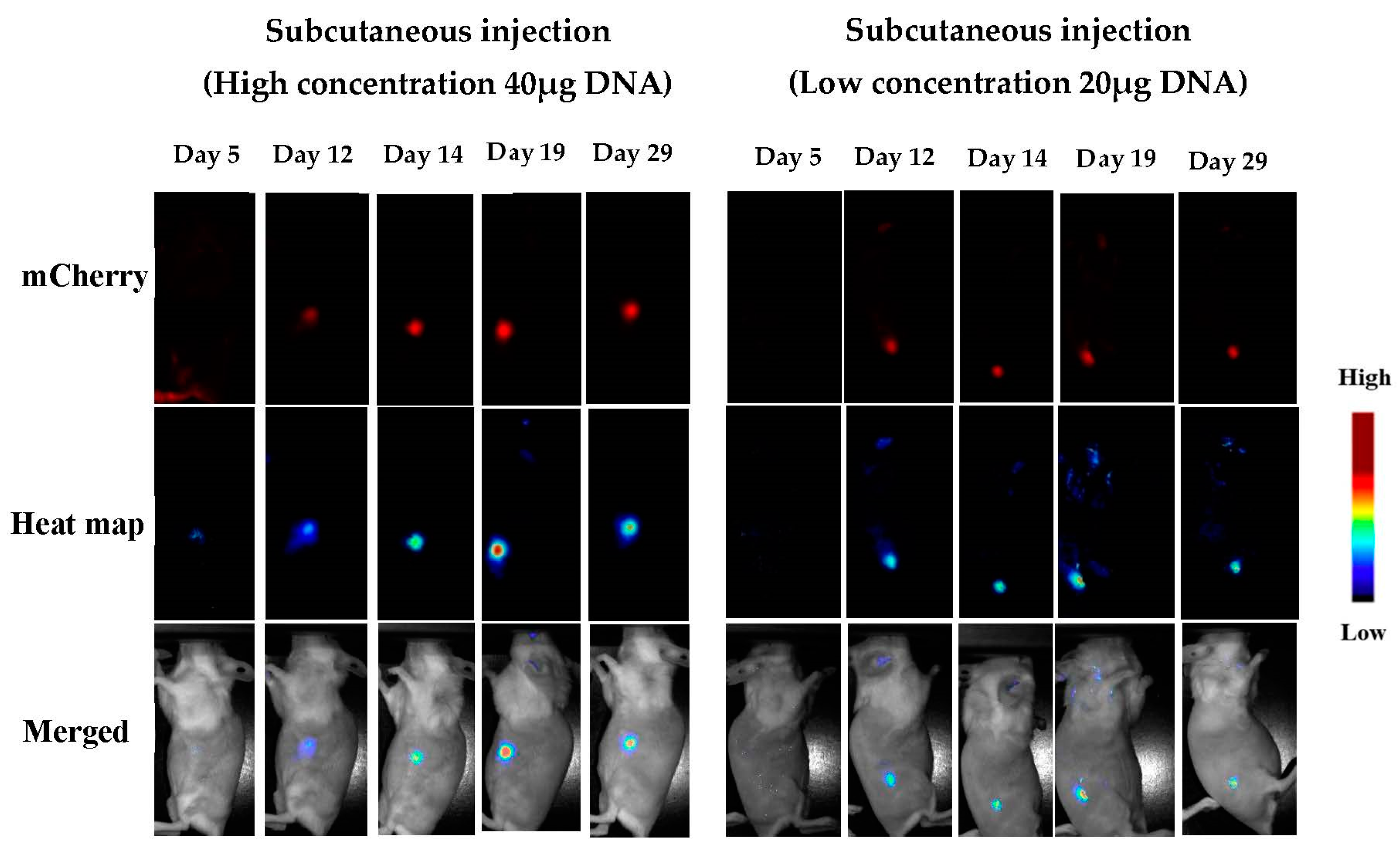 Pharmaceutics 15 00961 g009