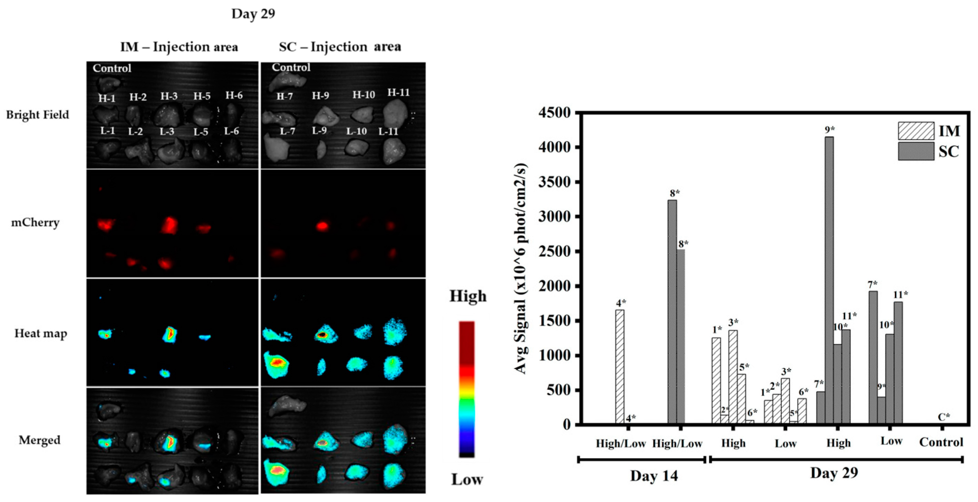 Pharmaceutics 15 00961 g013