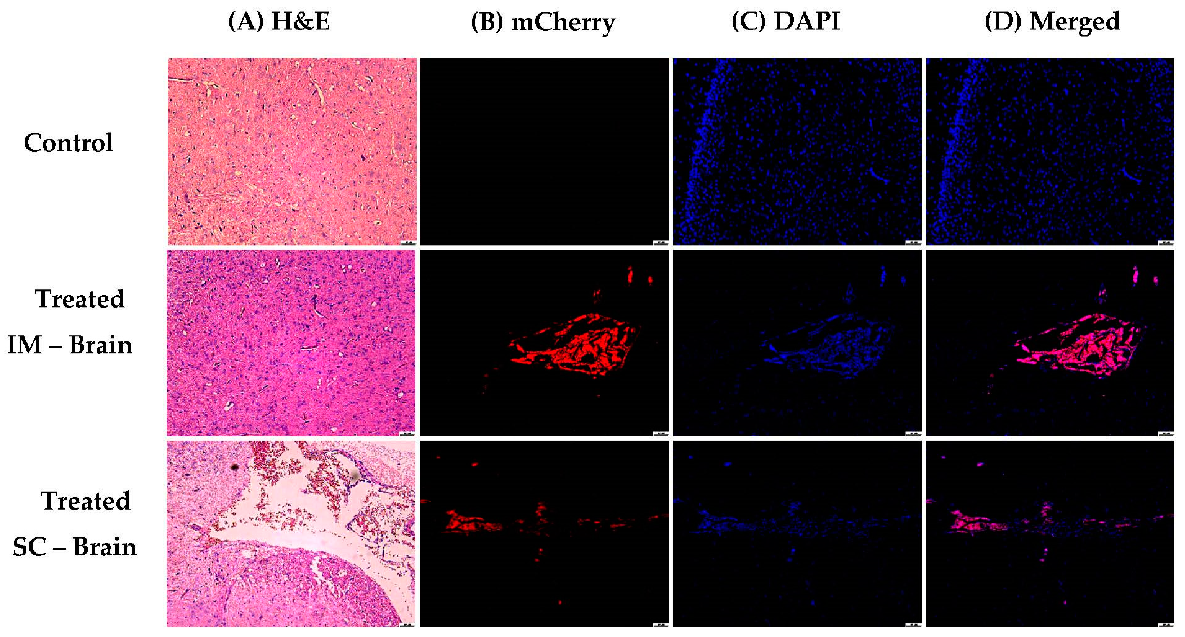 Pharmaceutics 15 00961 g018