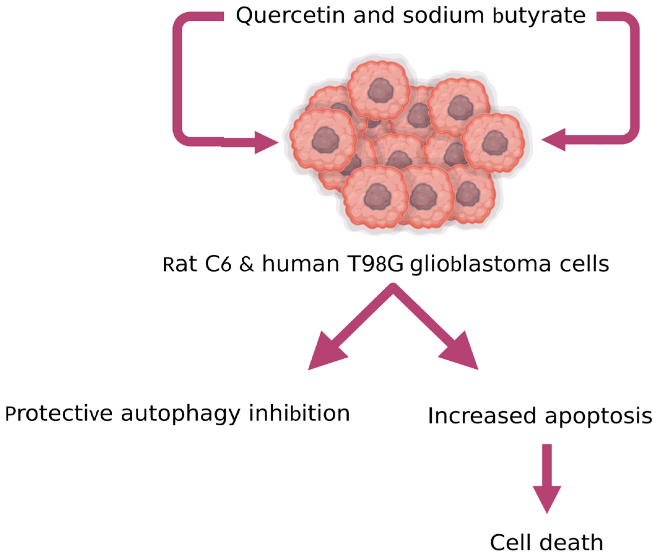 Pharmaceutics 15 00963 g007 Pharmaceutics 15 00963 g007