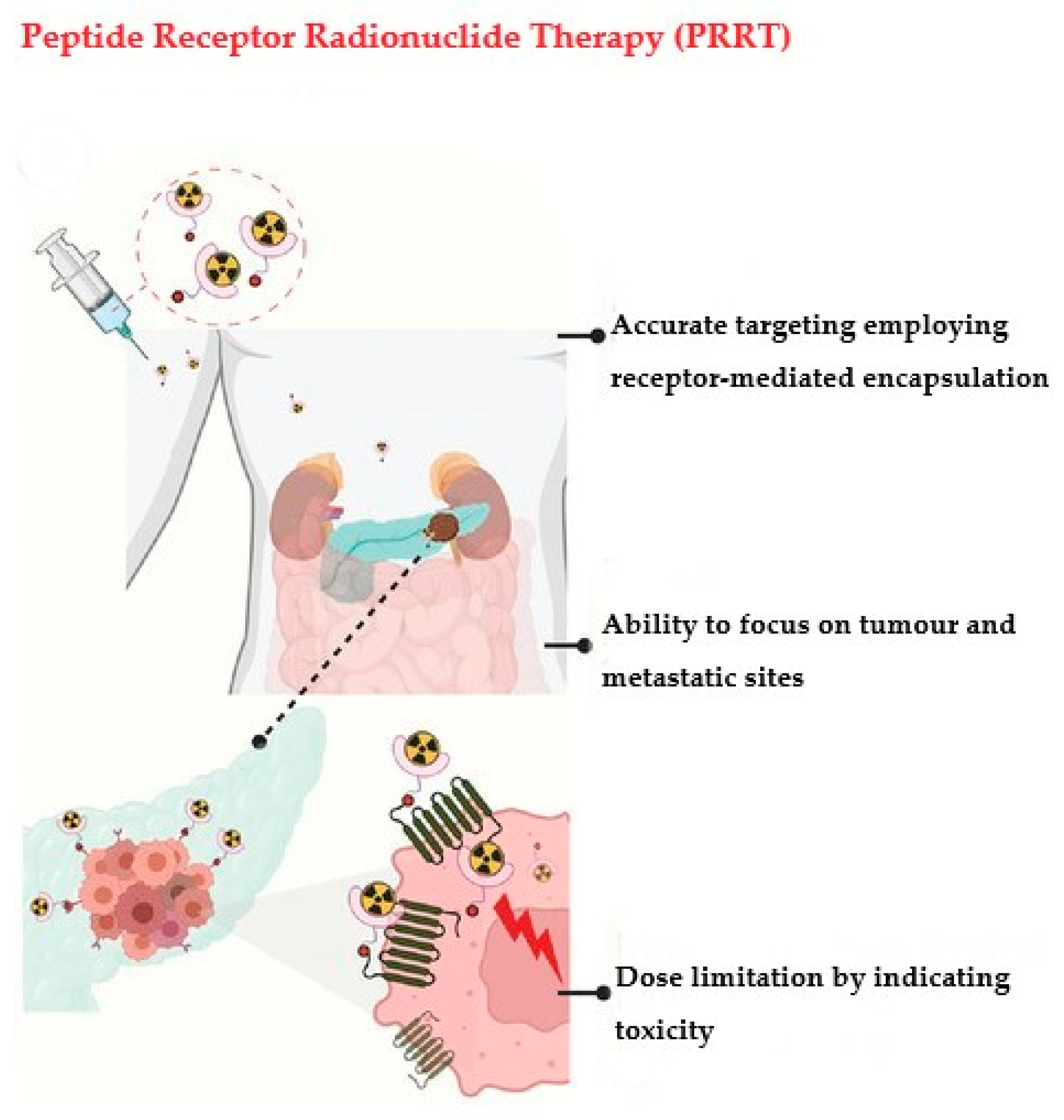 Pharmaceutics 15 00971 g002 Pharmaceutics 15 00971 g002