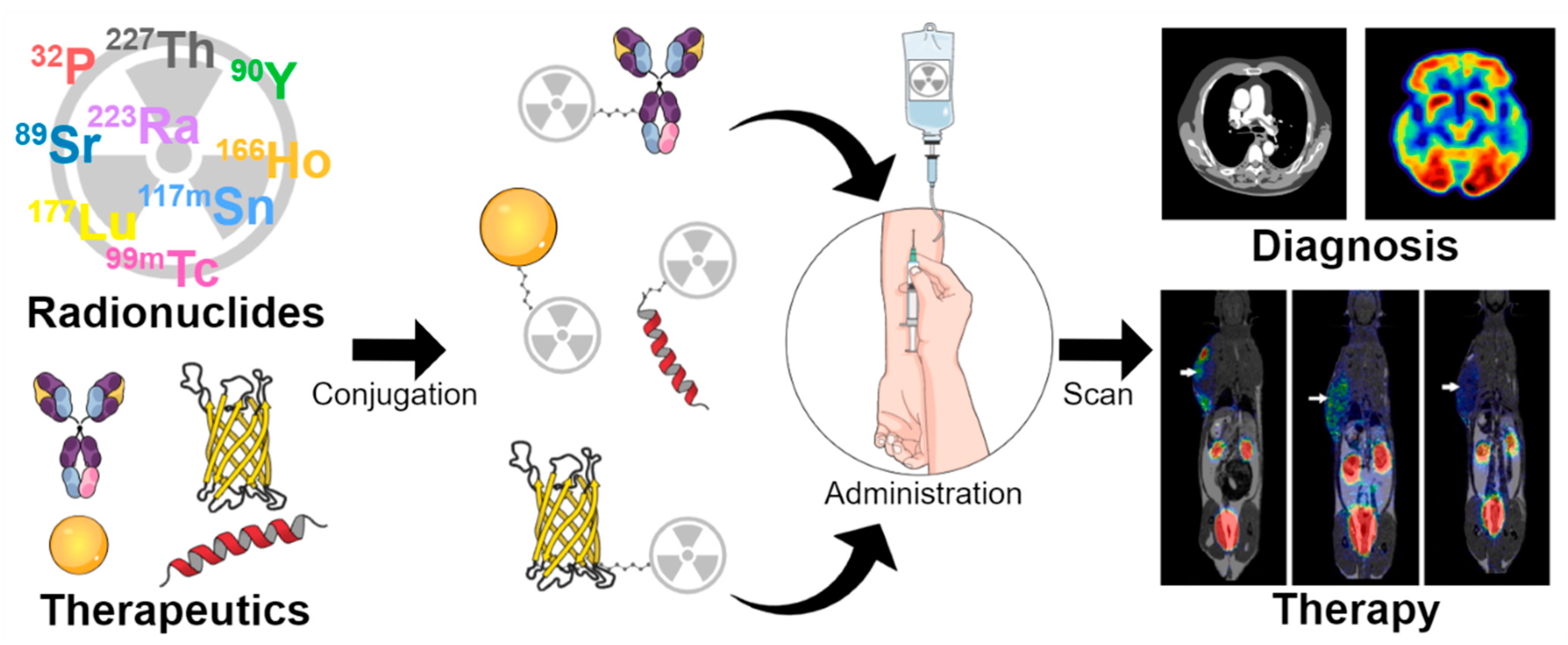 Pharmaceutics 15 00971 sch001 Pharmaceutics 15 00971 sch001