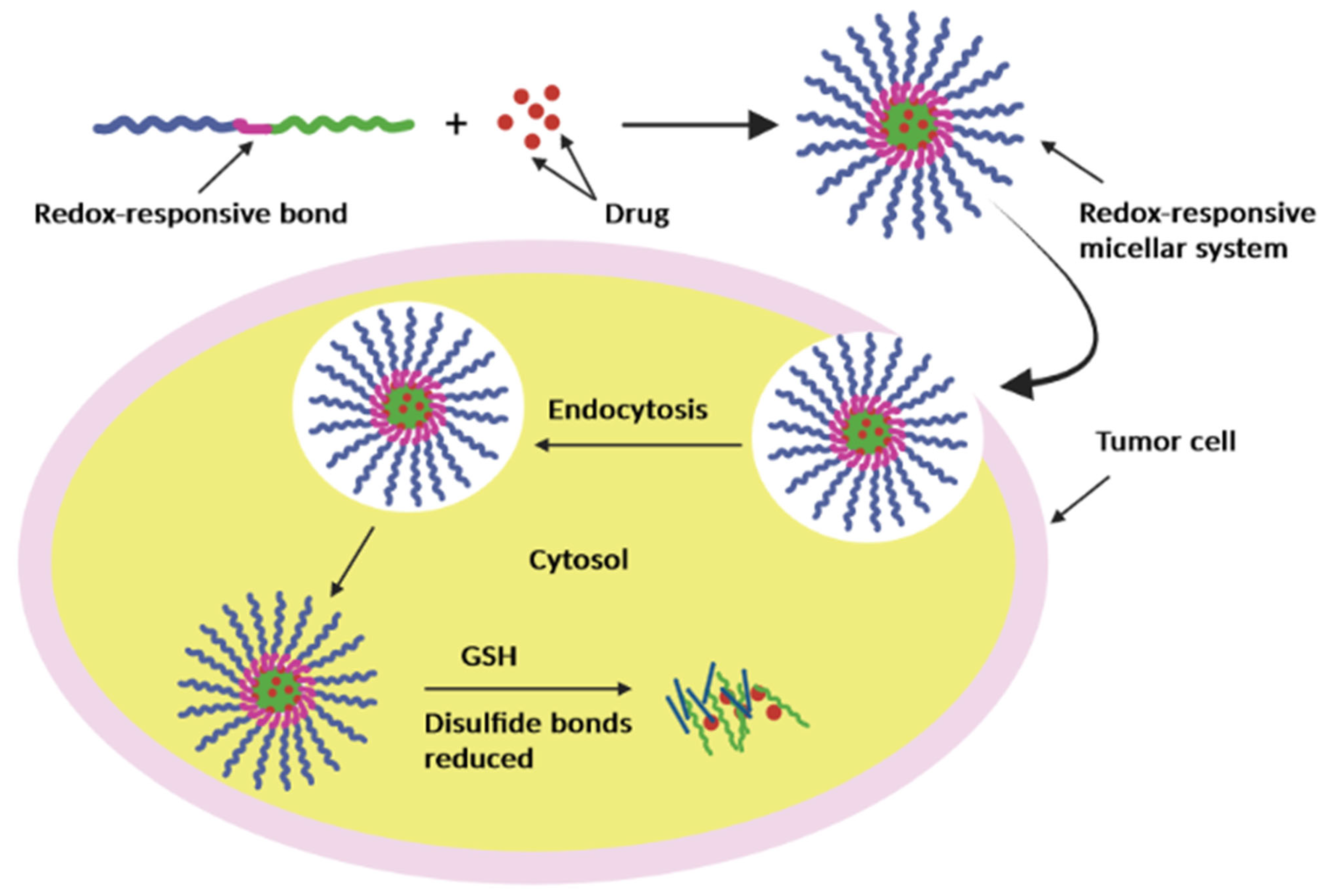 Pharmaceutics | Free Full-Text | Polymeric Micellar Systems—A Special  Emphasis on “Smart” Drug Delivery