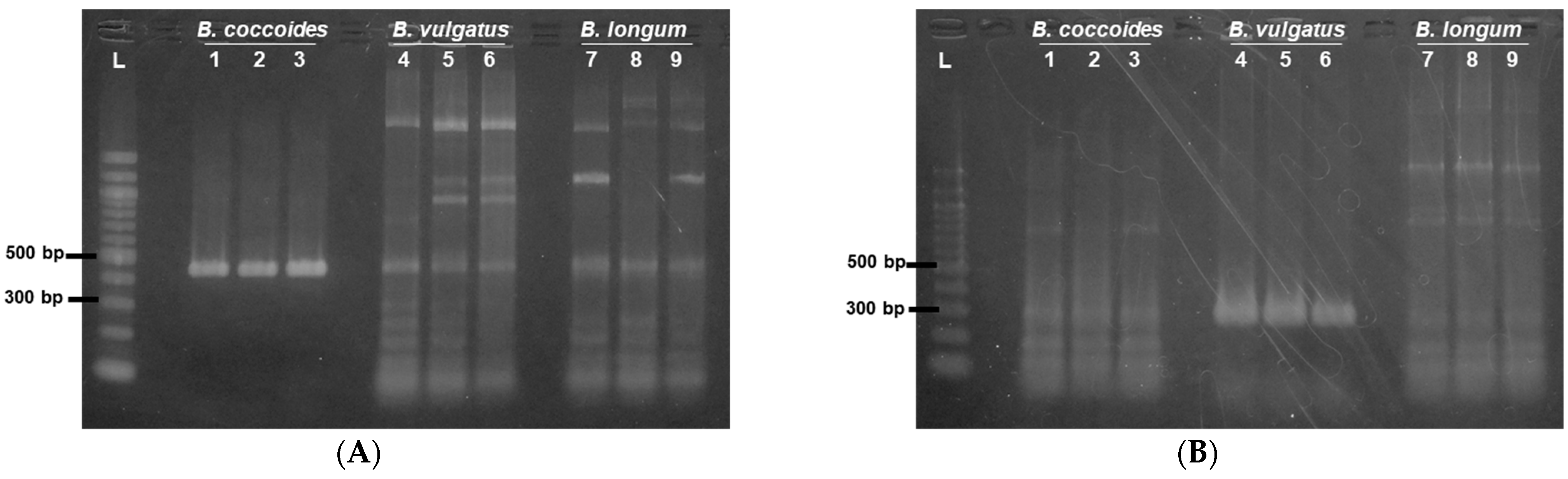 Pharmaceutics 15 00989 g002a