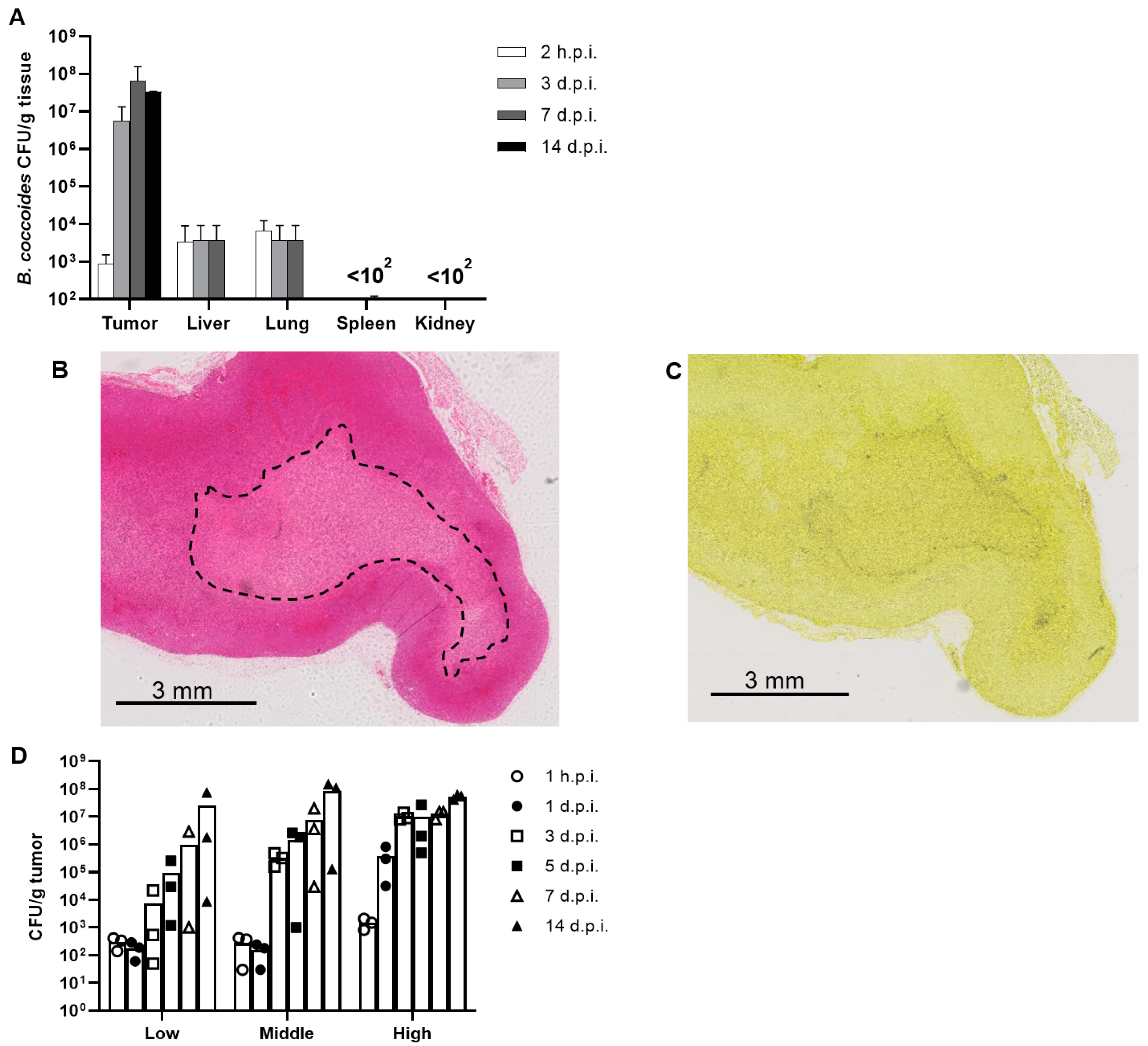Pharmaceutics 15 00989 g003