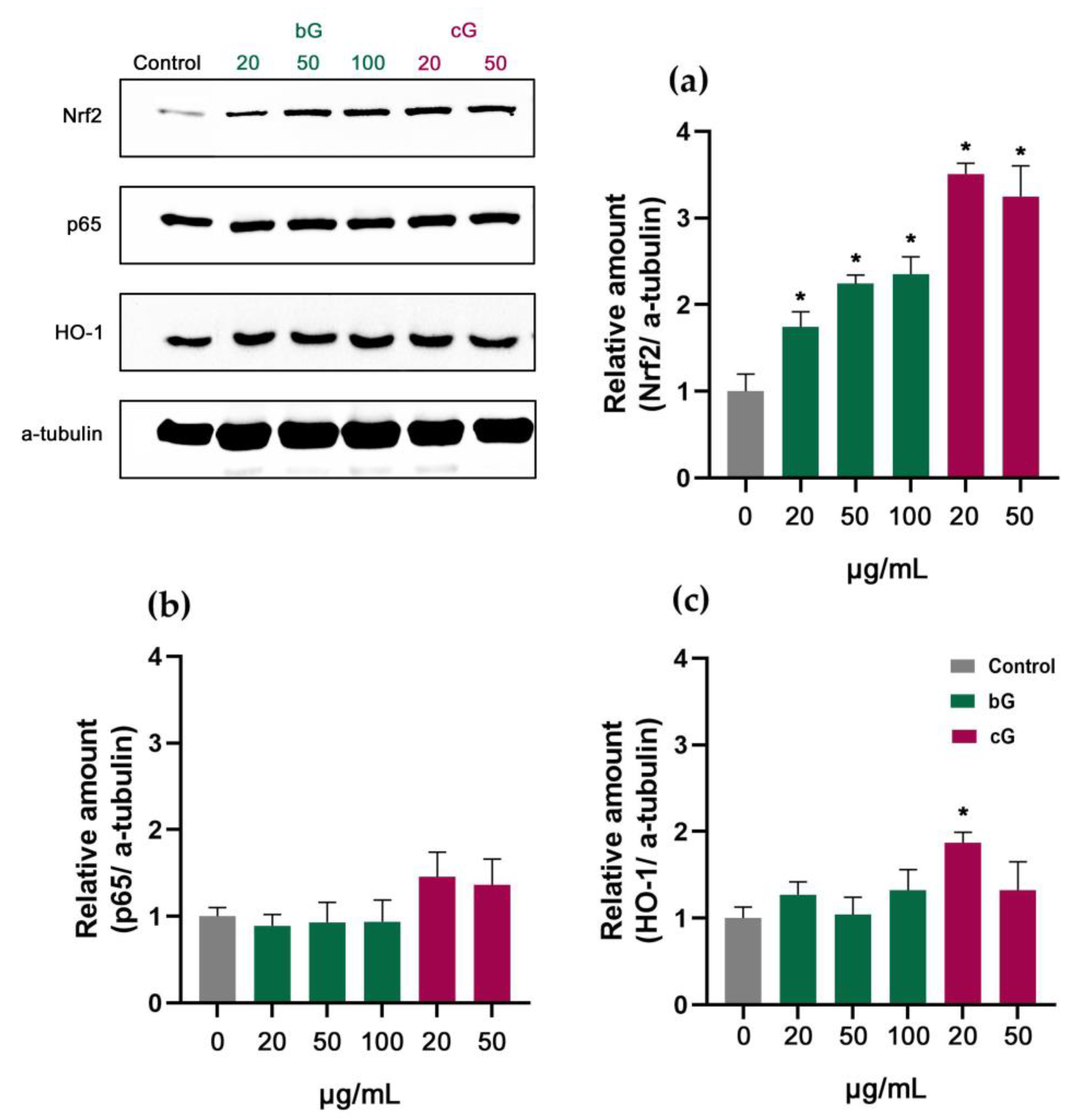 Pharmaceutics 15 00993 g008